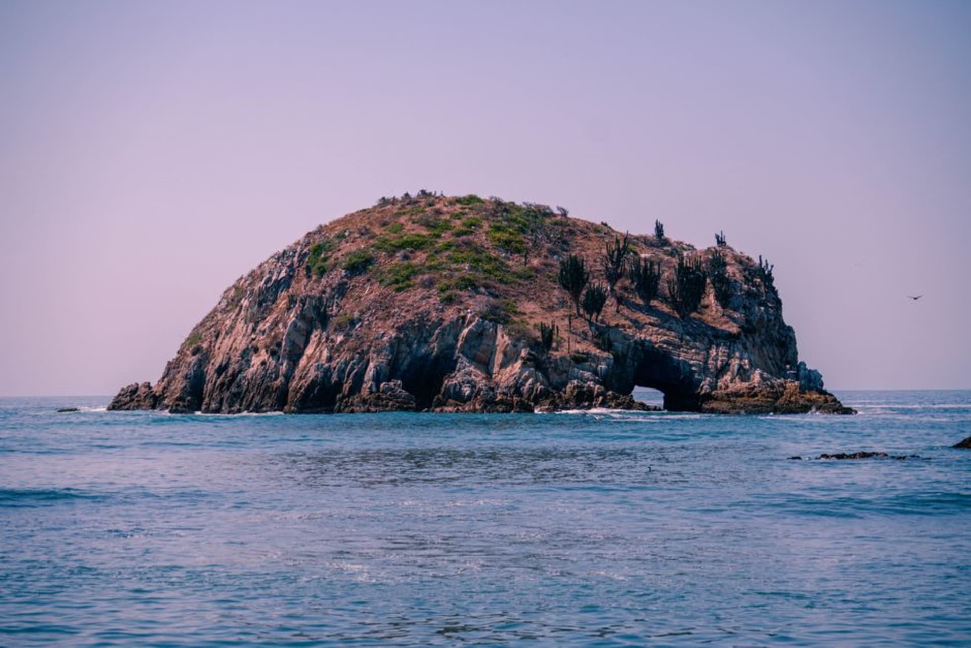 Dark volcanic sand beach curving between two rocky headlands at Maruata, Michoacán, with long Pacific swells breaking along the shore