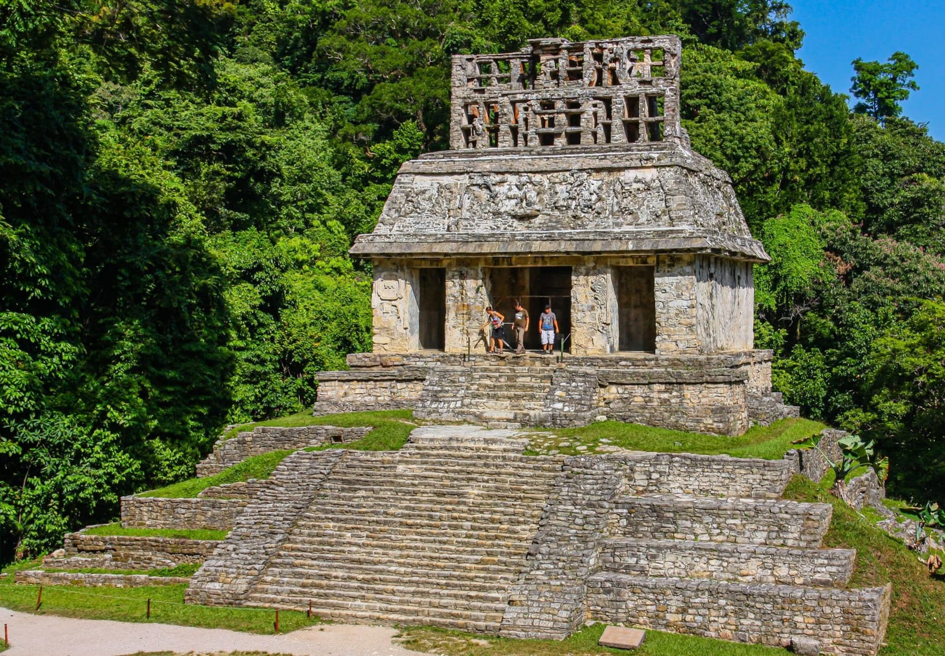 Ancient Mayan stone temples emerging from dense green jungle canopy in morning mist at Palenque, Chiapas, with the Temple of the Inscriptions rising against a grey-blue sky