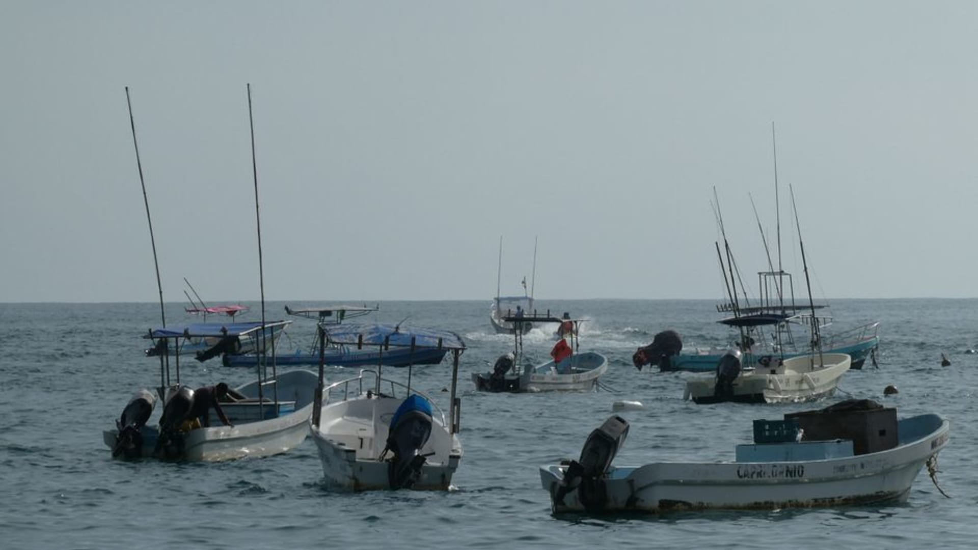 Horseshoe bay of Puerto Ángel at low tide with fishing boats moored in still green water and a forested hillside behind