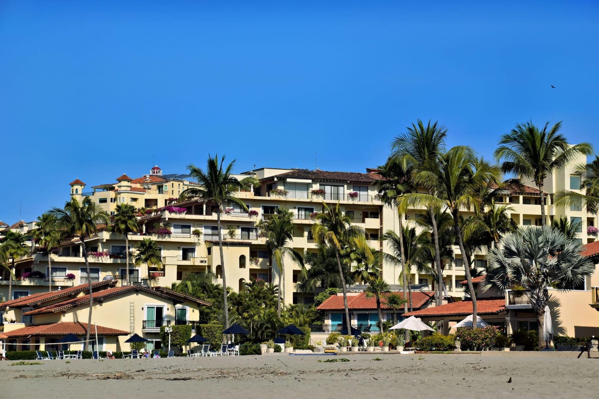 Sunlit cobblestone street in Puerto Vallarta's Zona Romantica with bougainvillea spilling over whitewashed walls, the blue shimmer of Banderas Bay visible at the end of the lane