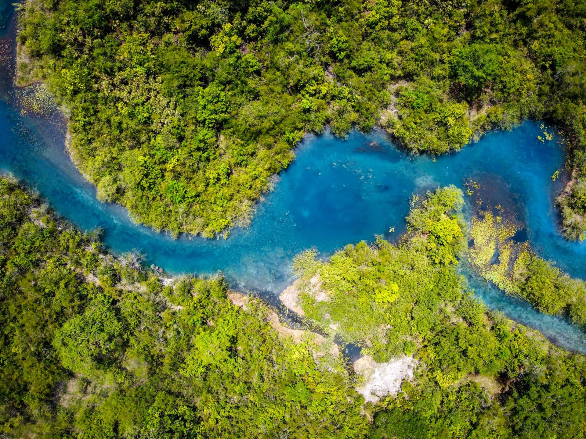 The Laguna Media Luna in San Luis Potosí, a kidney-shaped turquoise thermal spring lagoon with crystalline water revealing the sandy bottom 12 meters below