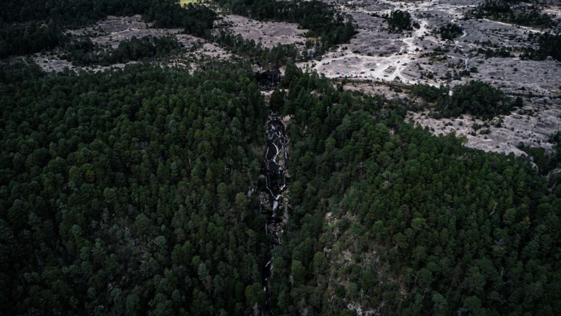 Deep pine-forested canyons of the Sierra Madre Occidental in the San Dimas district of Durango, morning mist in the barrancas