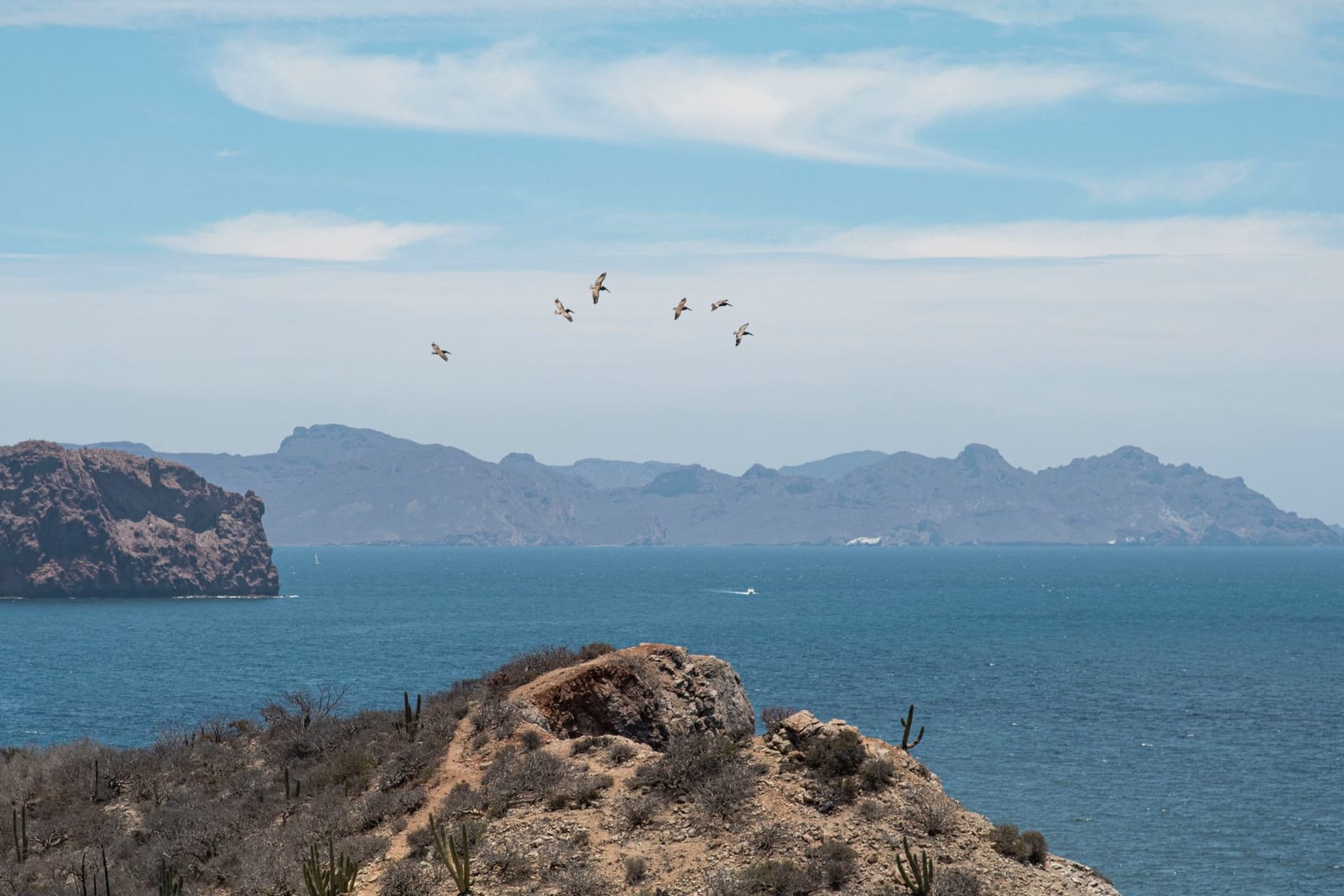 The San Felipe malecón at midday, fishing boats moored beyond the dock and tostada vendors under canvas awnings in the foreground, Sea of Cortez flat and bright behind
