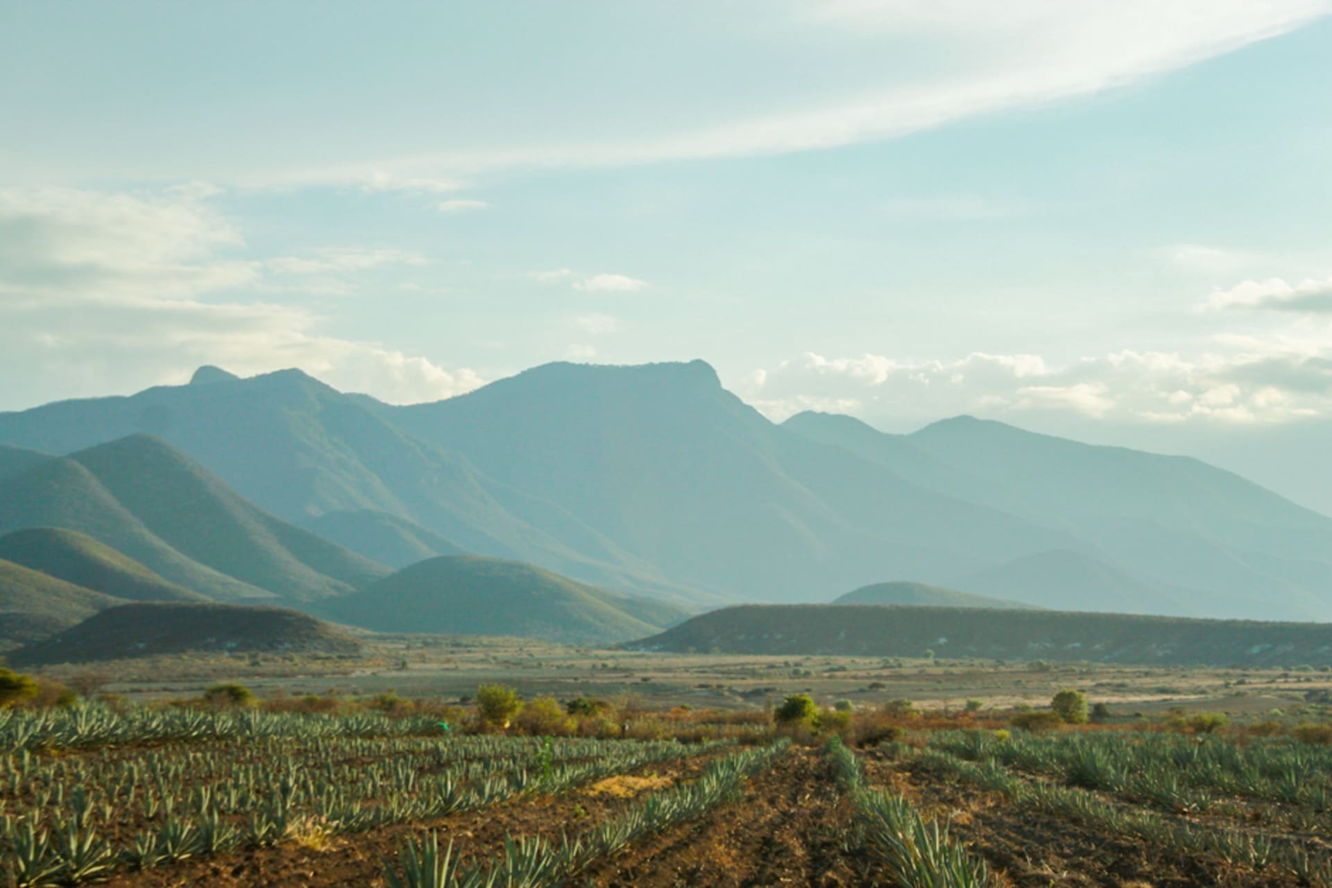 Rocky hillside agave fields above the village of San Juan del Río, Durango, with a palenque visible below