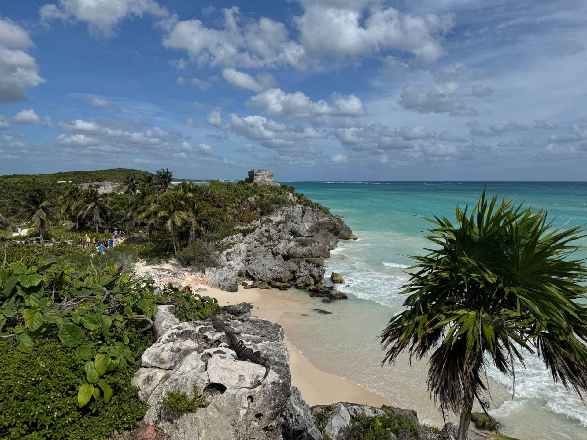Ancient Mayan stone temples rising above a limestone cliff, with the deep turquoise Caribbean Sea stretching to the horizon below and dense jungle pressing in from behind