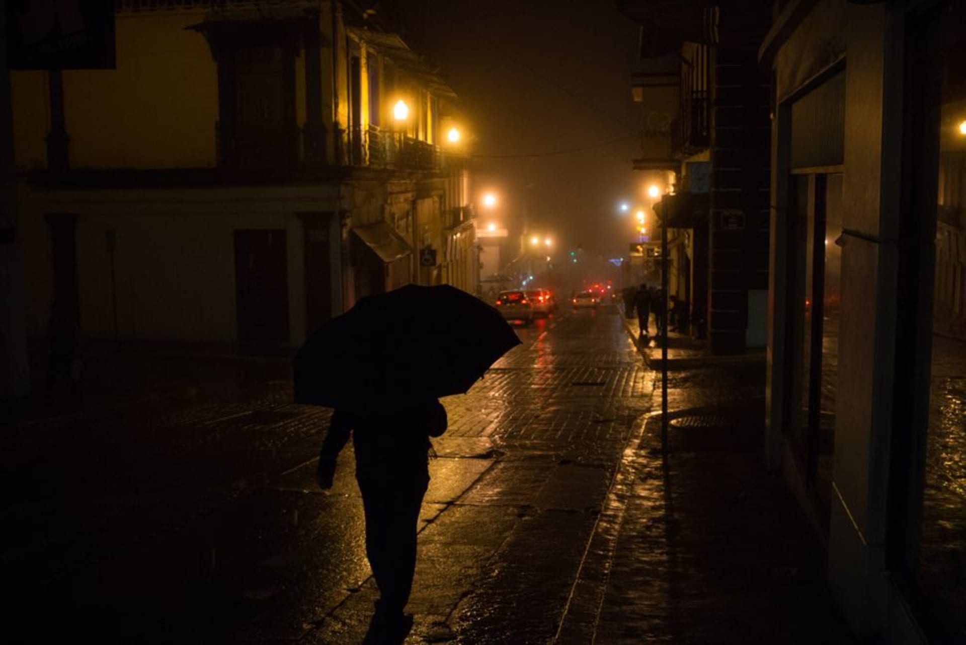 Xalapa's hilly colonial center in morning mist, the cathedral towers emerging above the cloud forest trees, terracotta rooftops and flowering trees on the steep streets below