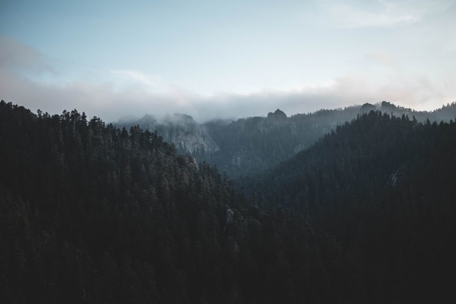 The misty pine-forested ridgelines of Zacualtipán de Ángeles in Hidalgo's Sierra Alta, rooftops of the mountain town below a low ceiling of cloud, forested slopes falling away toward the Huasteca