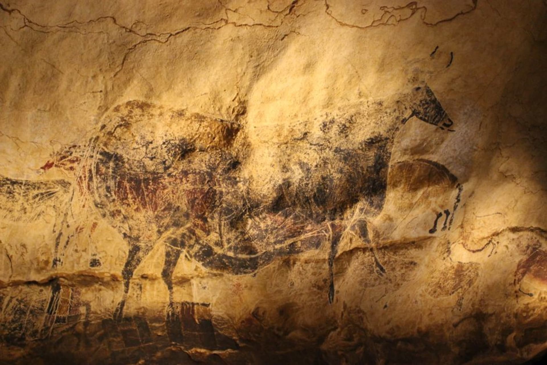 Ancient red and ochre pictographs of human figures and deer painted across a stone shelter wall in the Coahuila foothills