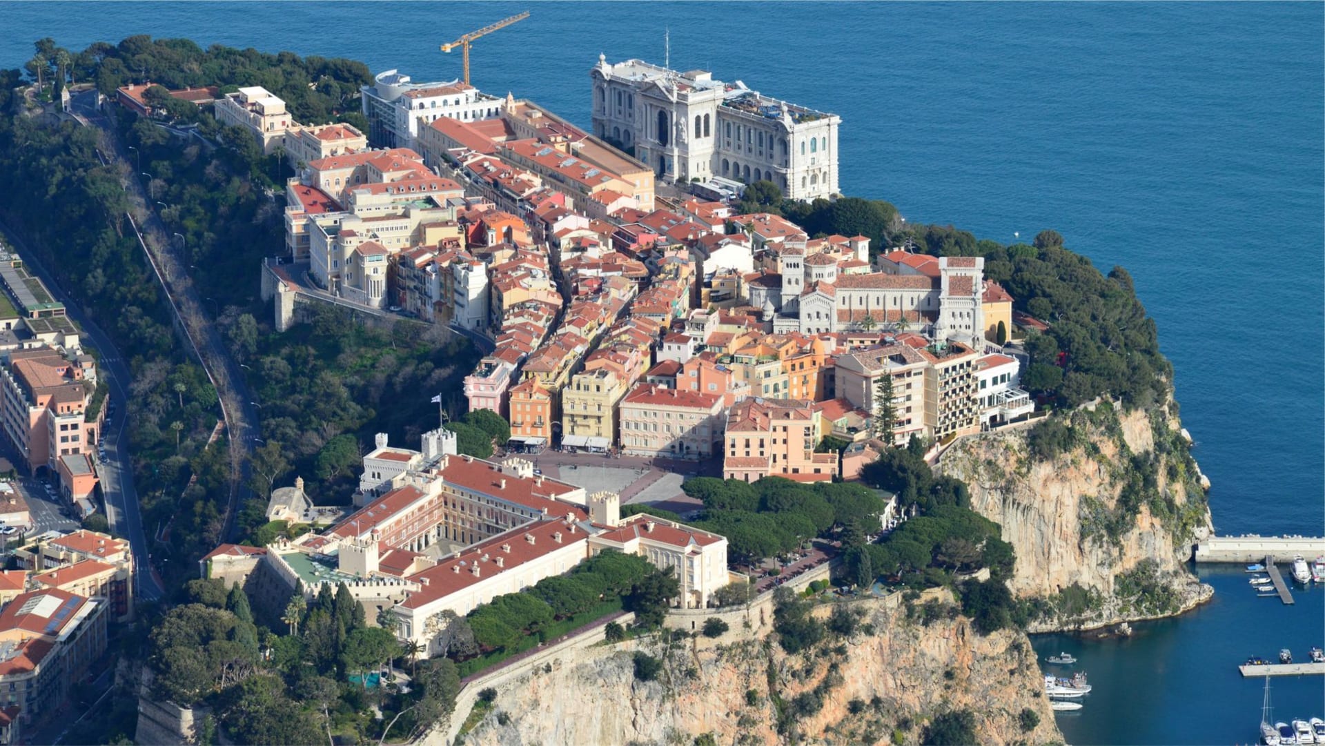 The rose garden of Fontvieille with the Monaco cliff face and high-rise towers rising behind it in morning light