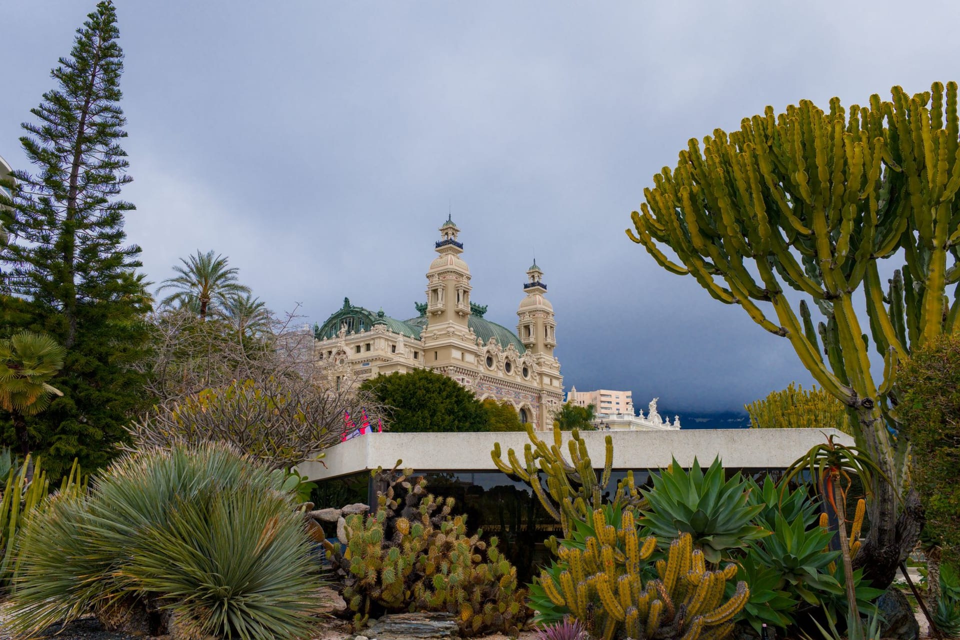 The Japanese Garden of Monaco with a still koi pond, raked gravel, a red arched bridge and carefully pruned pines, the high-rise towers of the Larvotto district visible behind