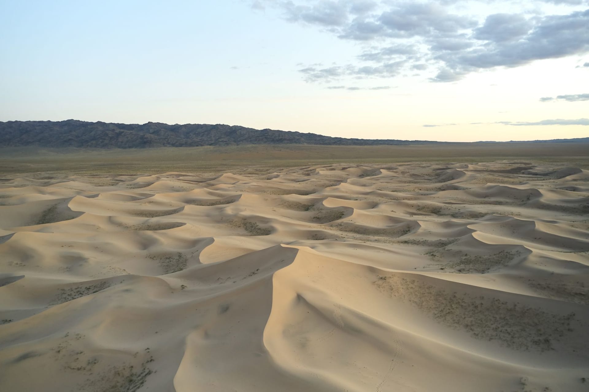 Towering golden sand dunes of Khongoryn Els meeting flat gravel desert under a vast blue Gobi sky, sharp ridgelines catching the sun