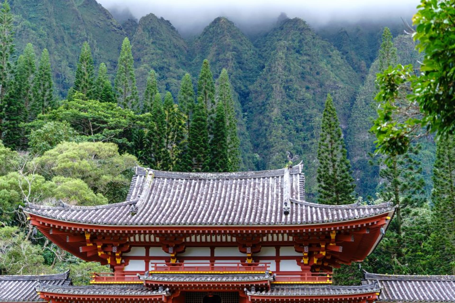 Stone ruins of Manzushir Monastery set into a pine-forested hillside on Bogd Khan Mountain near Ulaanbaatar