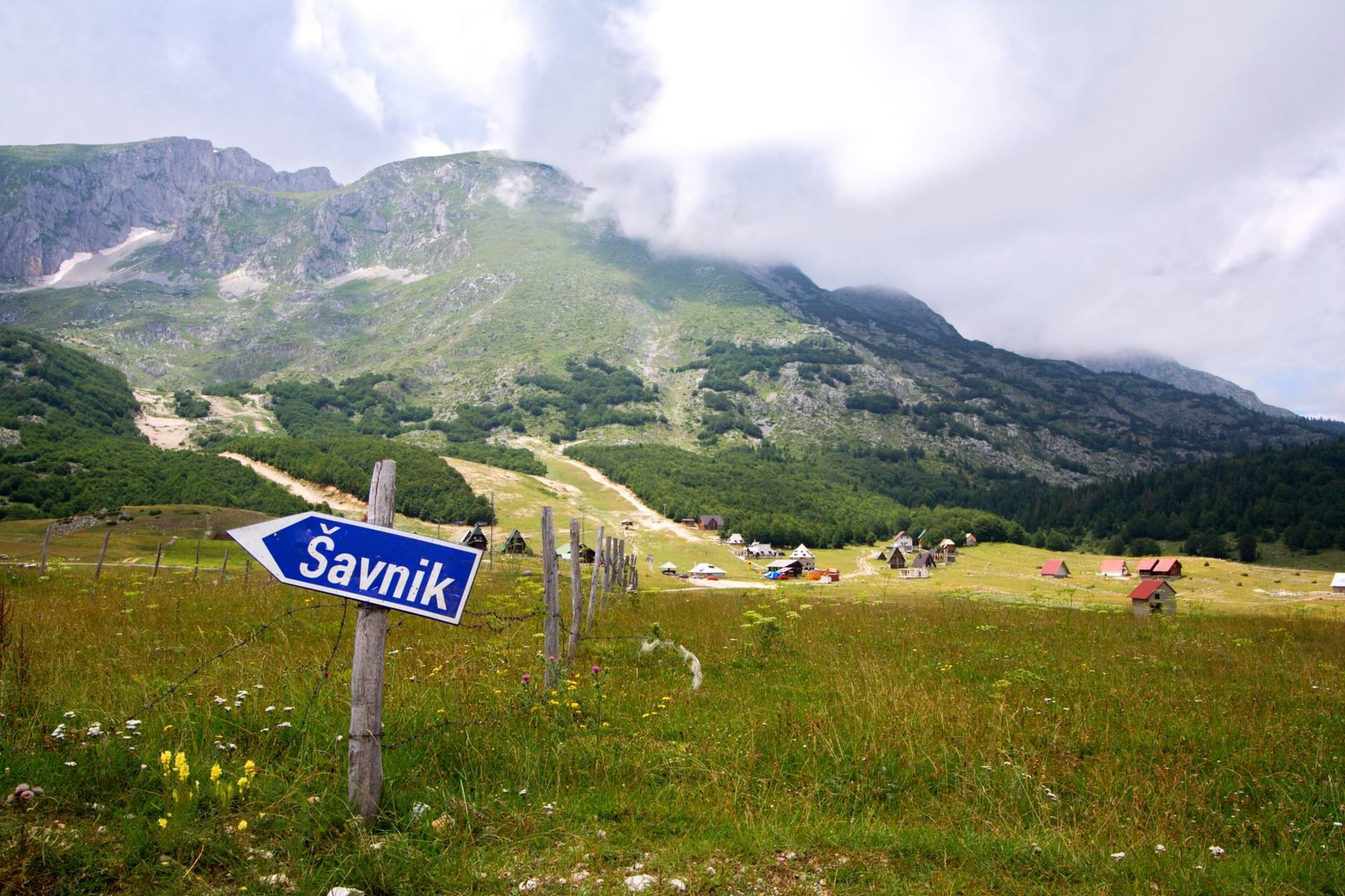 Kolašin's mountain setting in summer, pine forests covering the slopes of Bjelasica, traditional wooden chalets and the town below