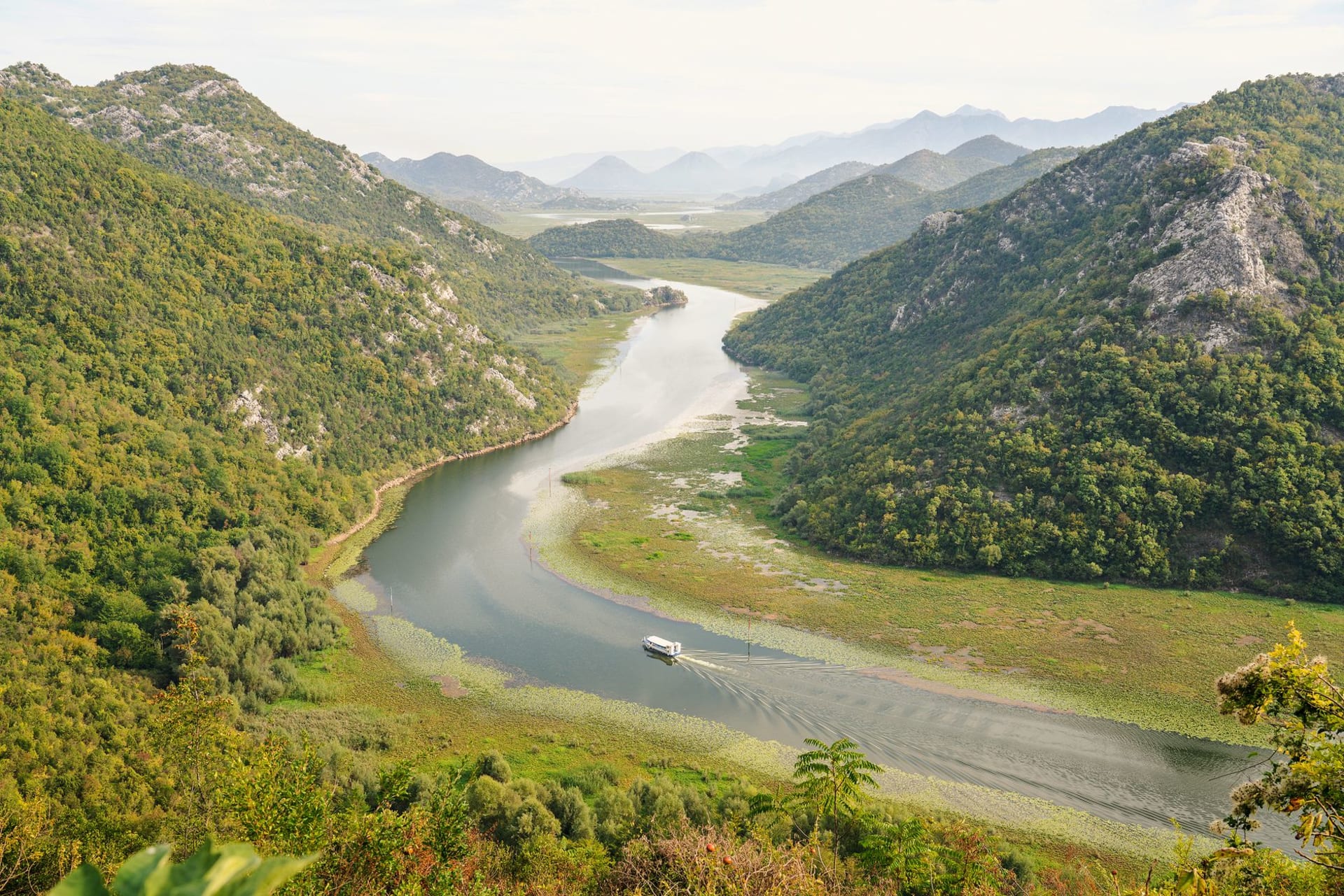 Lake Skadar in morning mist, reed beds in the foreground, a flat-bottomed wooden boat moored at a dock, pelicans visible in the distance