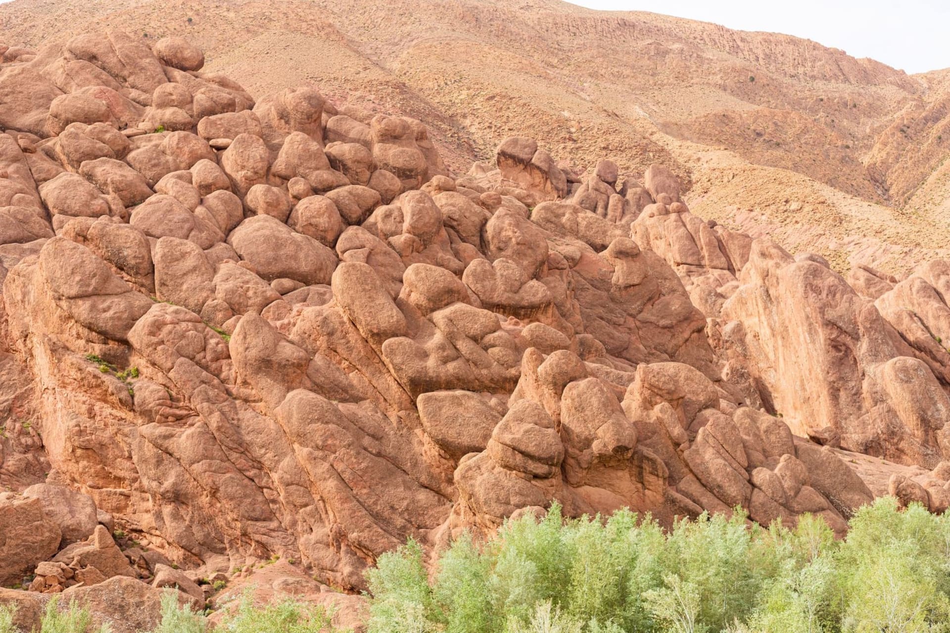 Towering red sandstone cliffs of Dades Gorge rising above a winding river valley, with crumbling kasbah towers and green palmery below under a pale Moroccan sky.