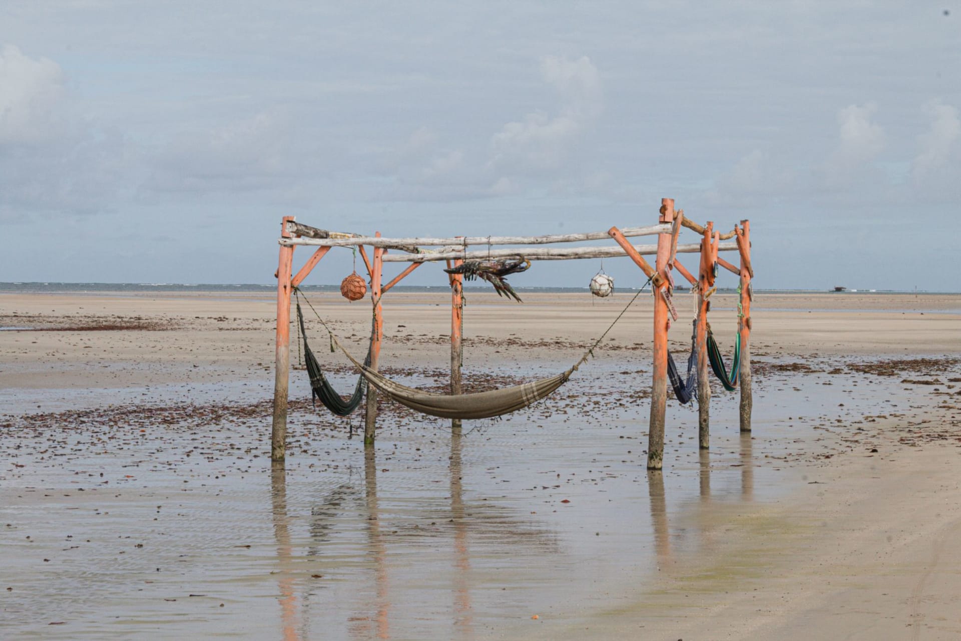 Boutres traditionnels amarrés dans les hauts-fonds sableux au large de Vilanculos avec les îles de Bazaruto à peine visibles à l'horizon