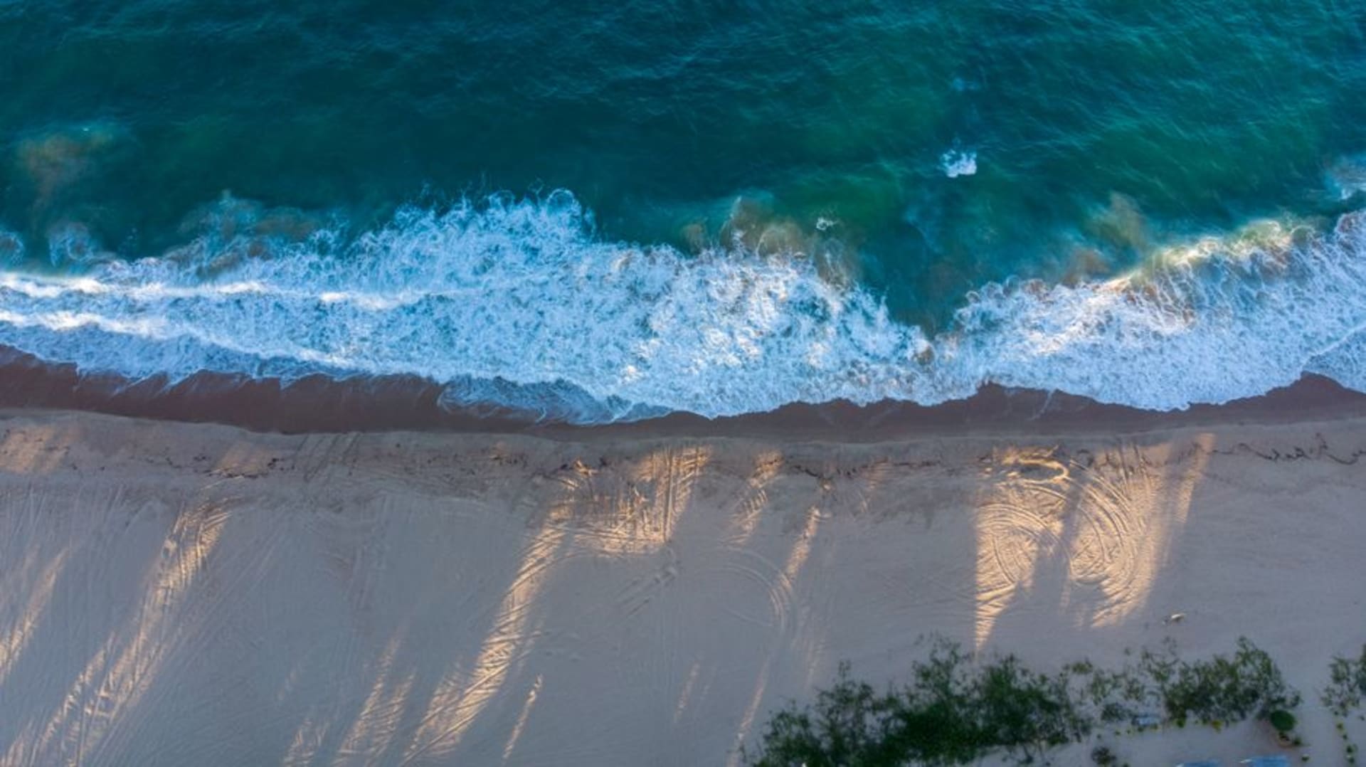 Long sandy beach at Xai-Xai backed by dunes and casuarina trees under a wide sky