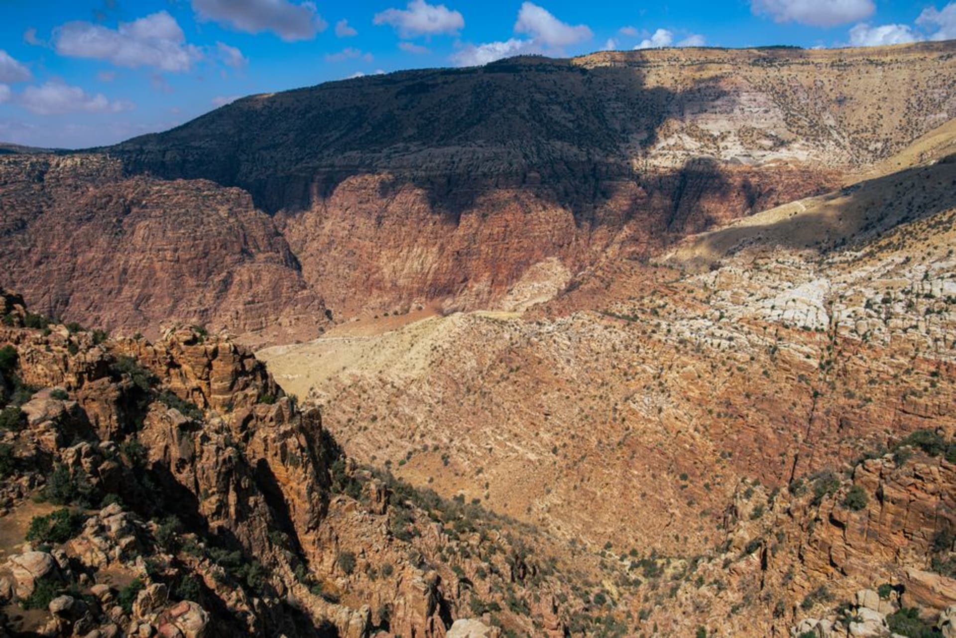 The stone houses of Dana village clinging to the edge of a deep canyon, sandstone cliffs dropping away into a green valley below