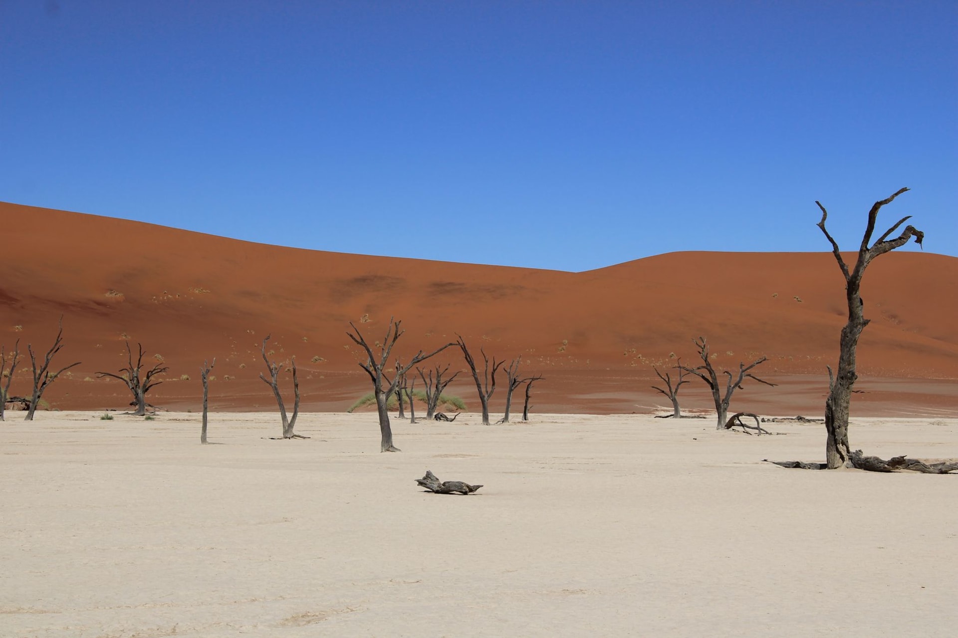 Vue saisissante de la région aride de Sossusvlei avec des arbres morts se découpant en silhouette sur d'immenses dunes rouges en Namibie, photo de Hub JACQU