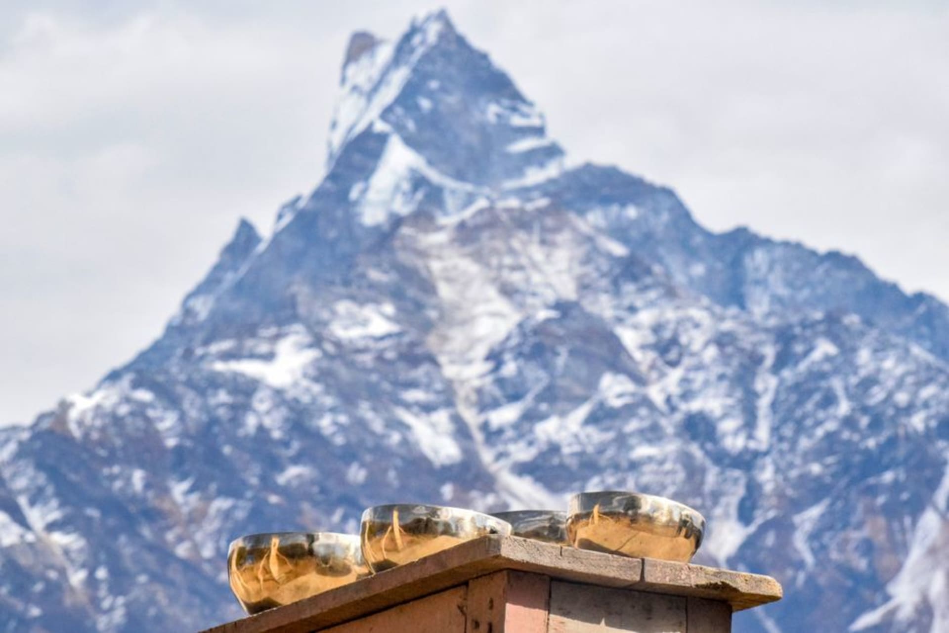 Wooden cheese factory building at Sing Gompa surrounded by pine forest with snow peaks visible above the ridgeline