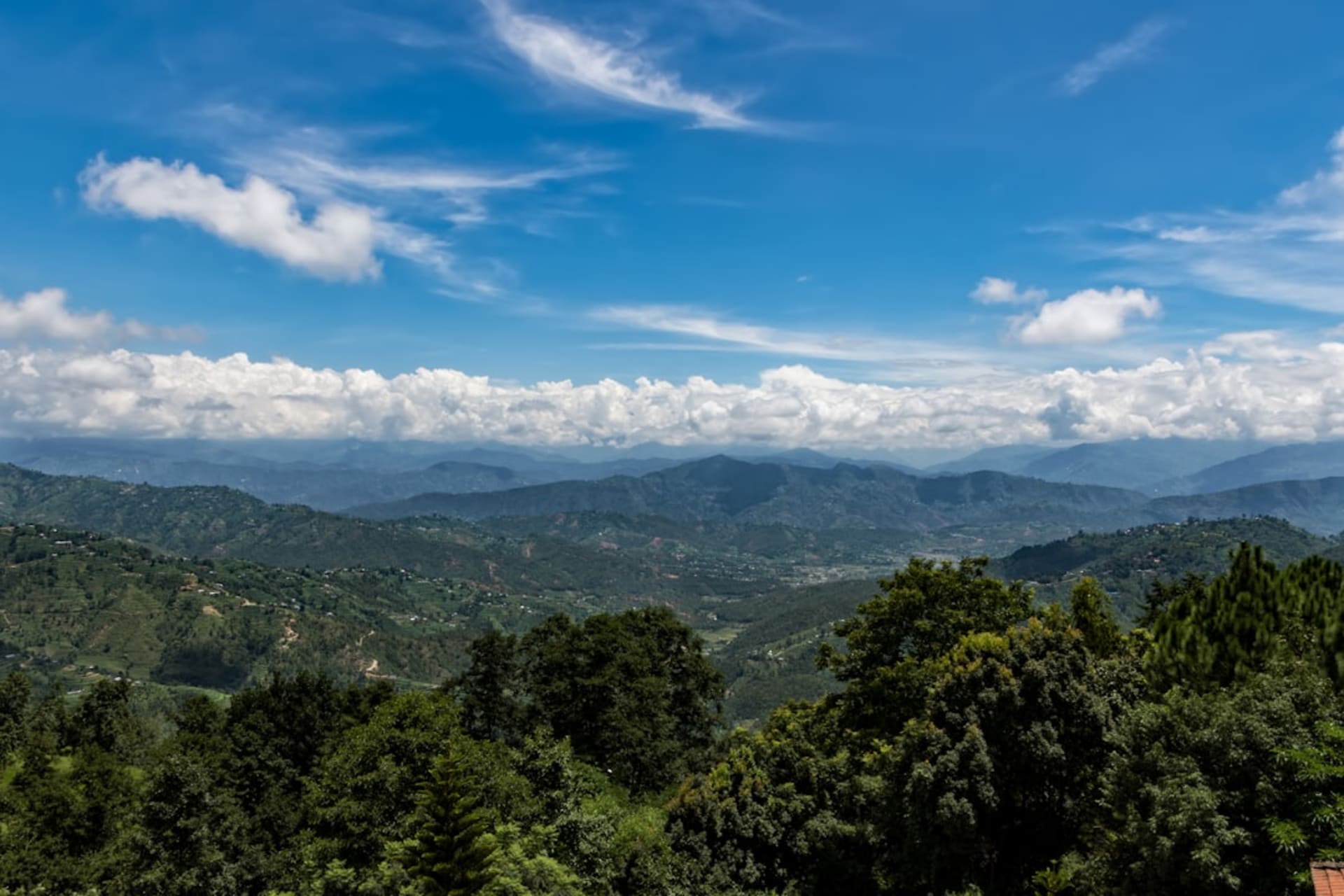 La large vallée agricole de Surkhet, avec des rizières au premier plan et les collines boisées de la province de Karnali s'élevant derrière