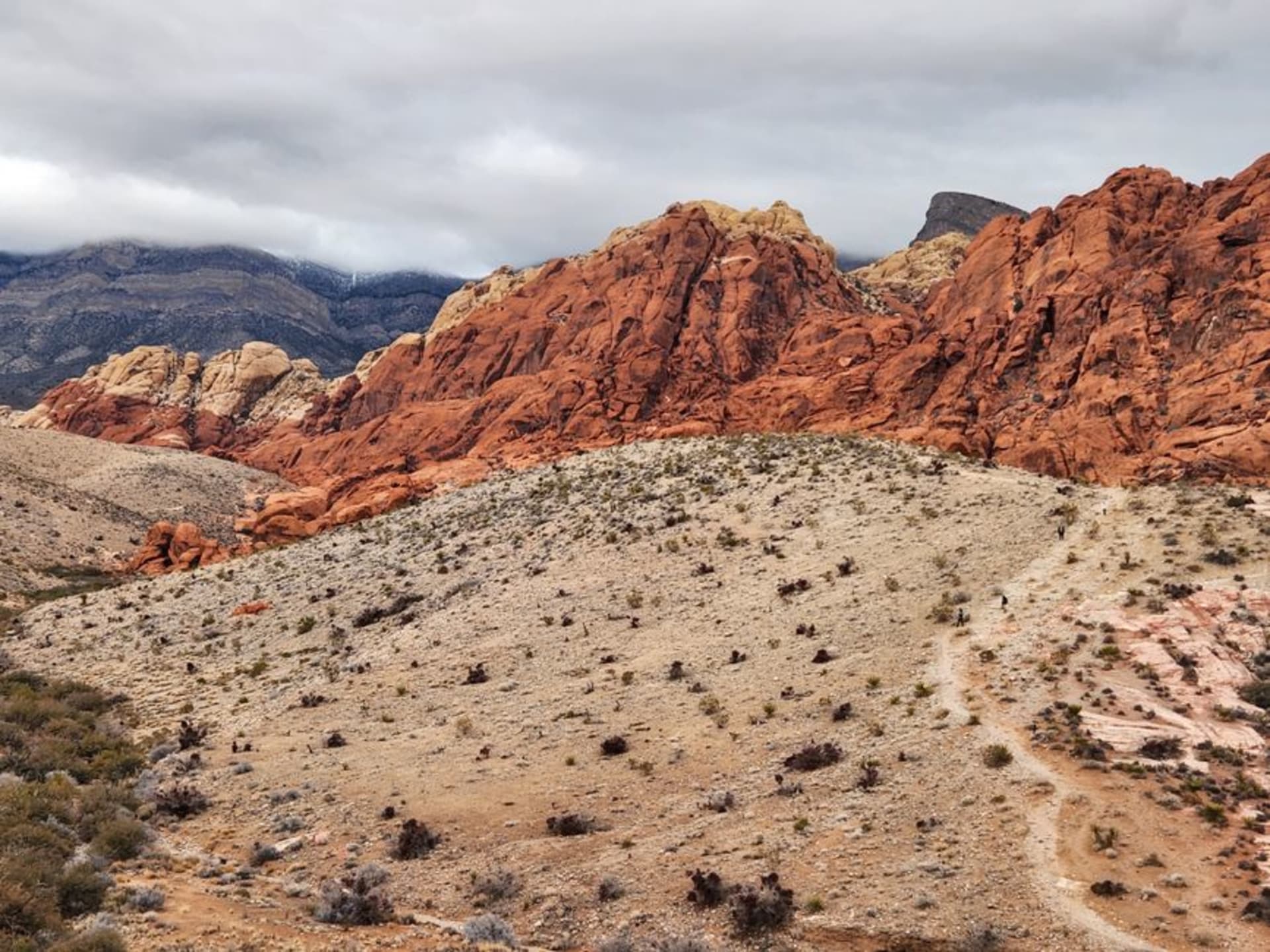 Sweeping view of red and tan sandstone escarpments along the Red Rock Canyon scenic loop at golden hour
