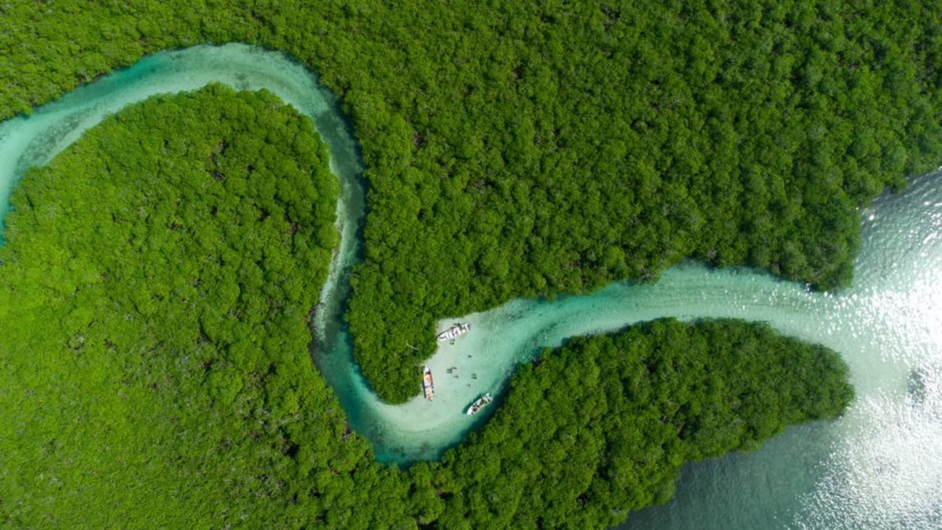 Aerial view of the heart-shaped mangrove clearing known as Coeur de Voh surrounded by green wetland near Voh, New Caledonia