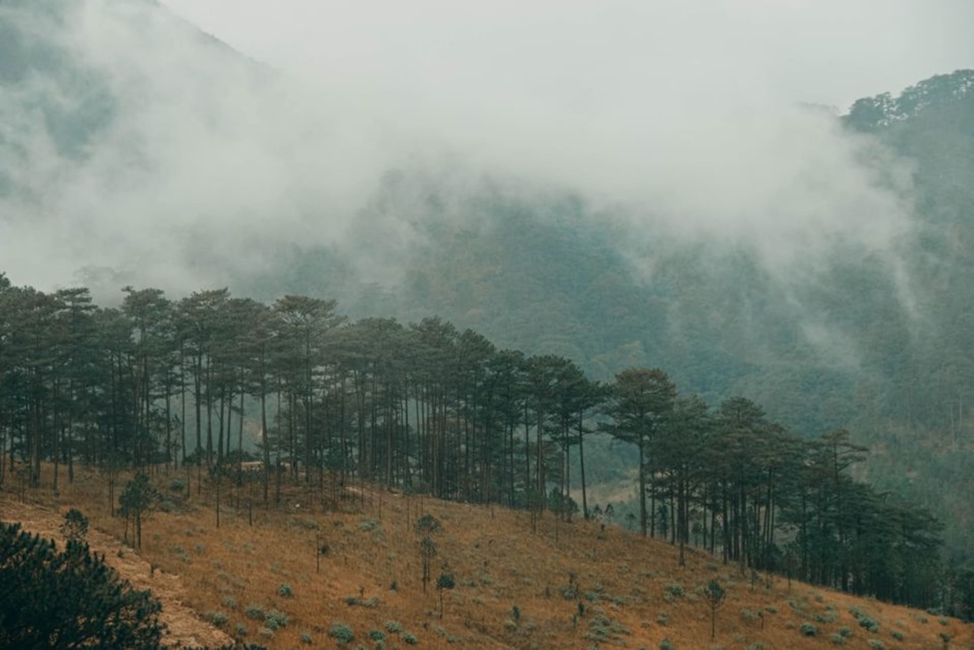 Montañas neblinosas cubiertas de pinos rodeando el pueblo de Dipilto