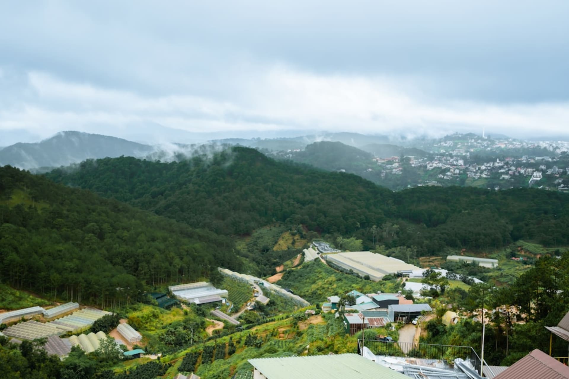 Niebla suspendida sobre las colinas verdes cubiertas de café que rodean el pueblo de Jinotega al amanecer