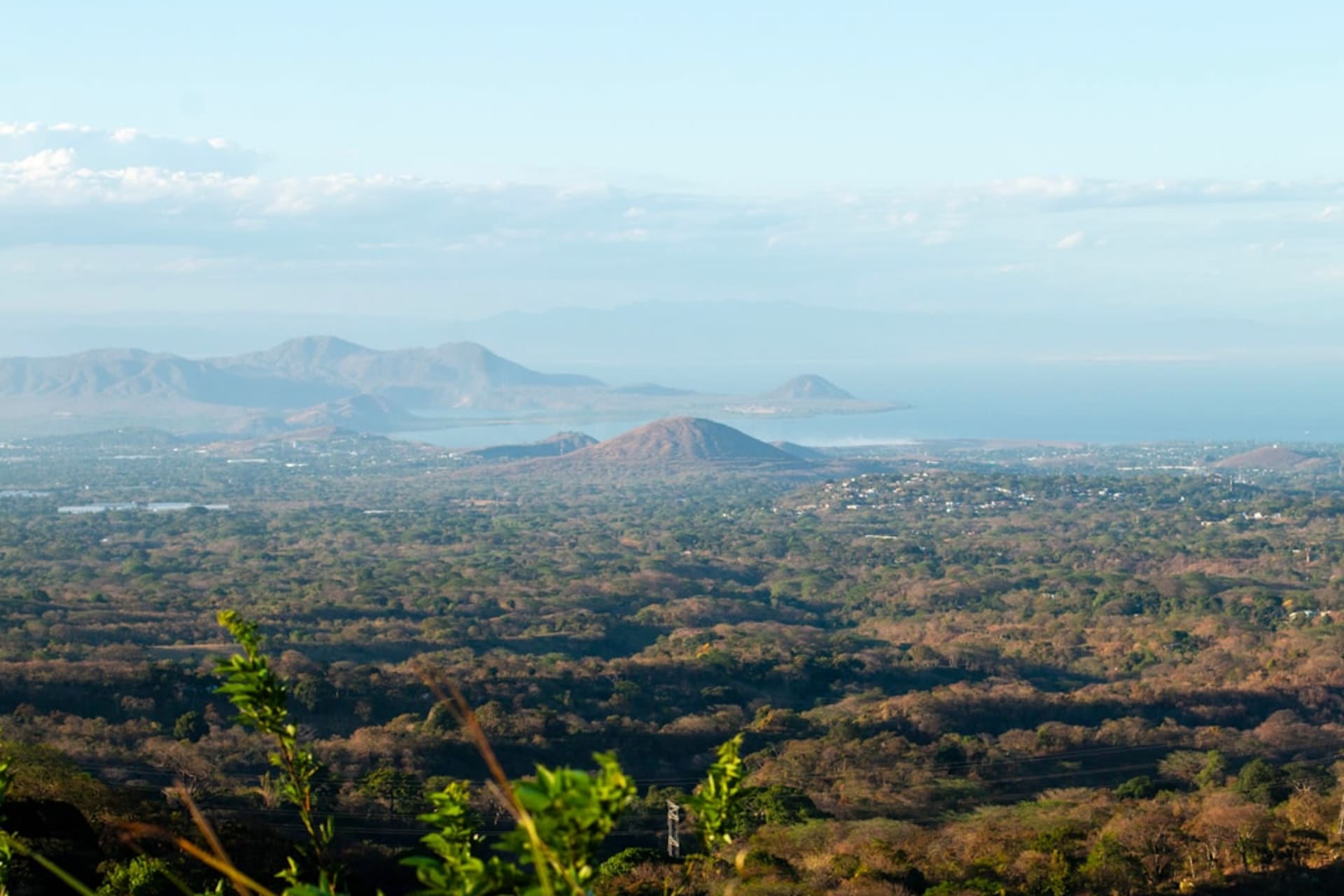 Coffee bushes growing under a shade canopy on the slopes of Volcán Mombacho with Lake Nicaragua visible below