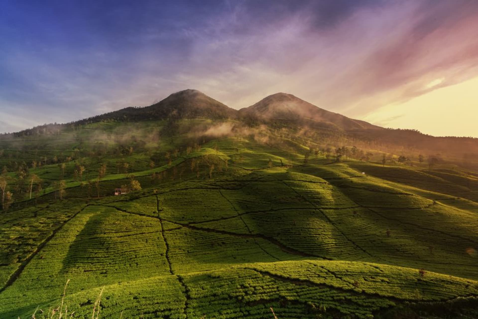 Coffee farms on misty mountain slopes near Ocotal in Nueva Segovia