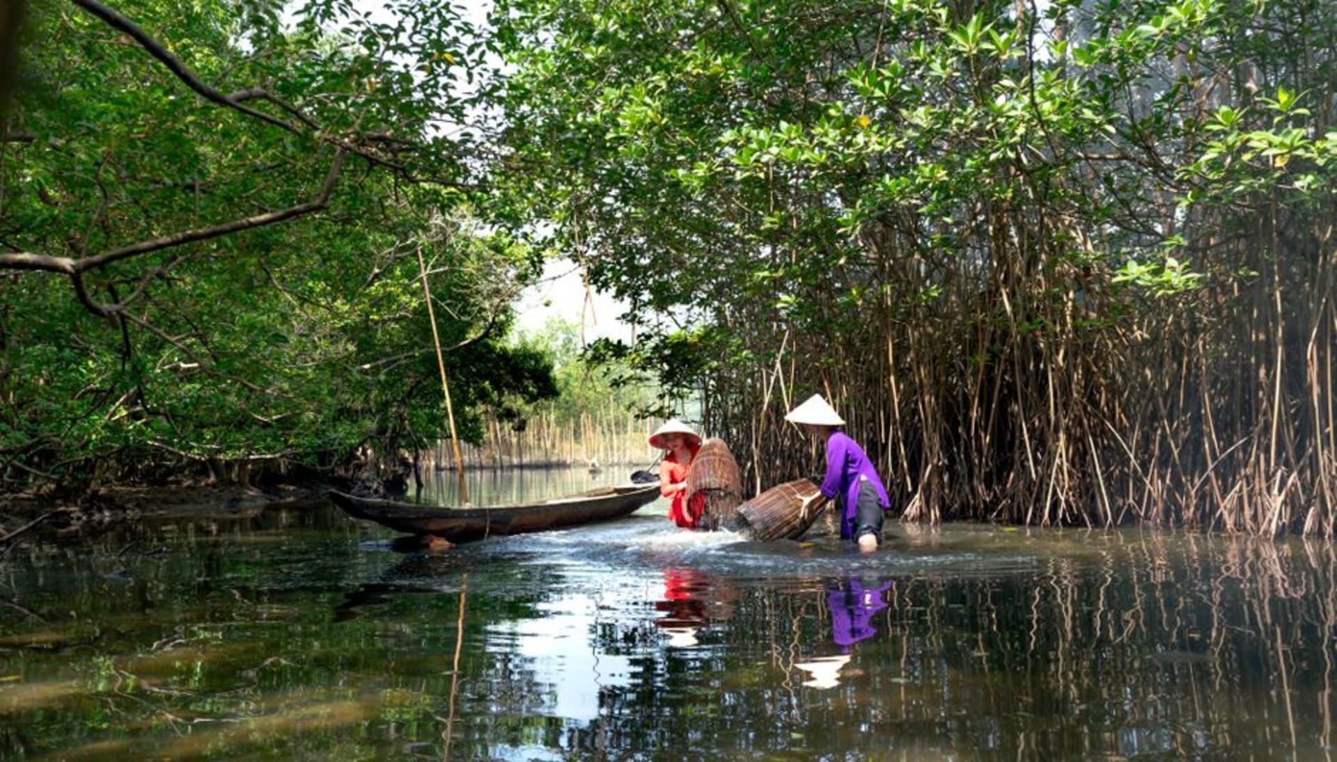Un bote de pesca de madera deslizándose por un canal de manglares del Estero Real cerca de Puerto Morazán al amanecer