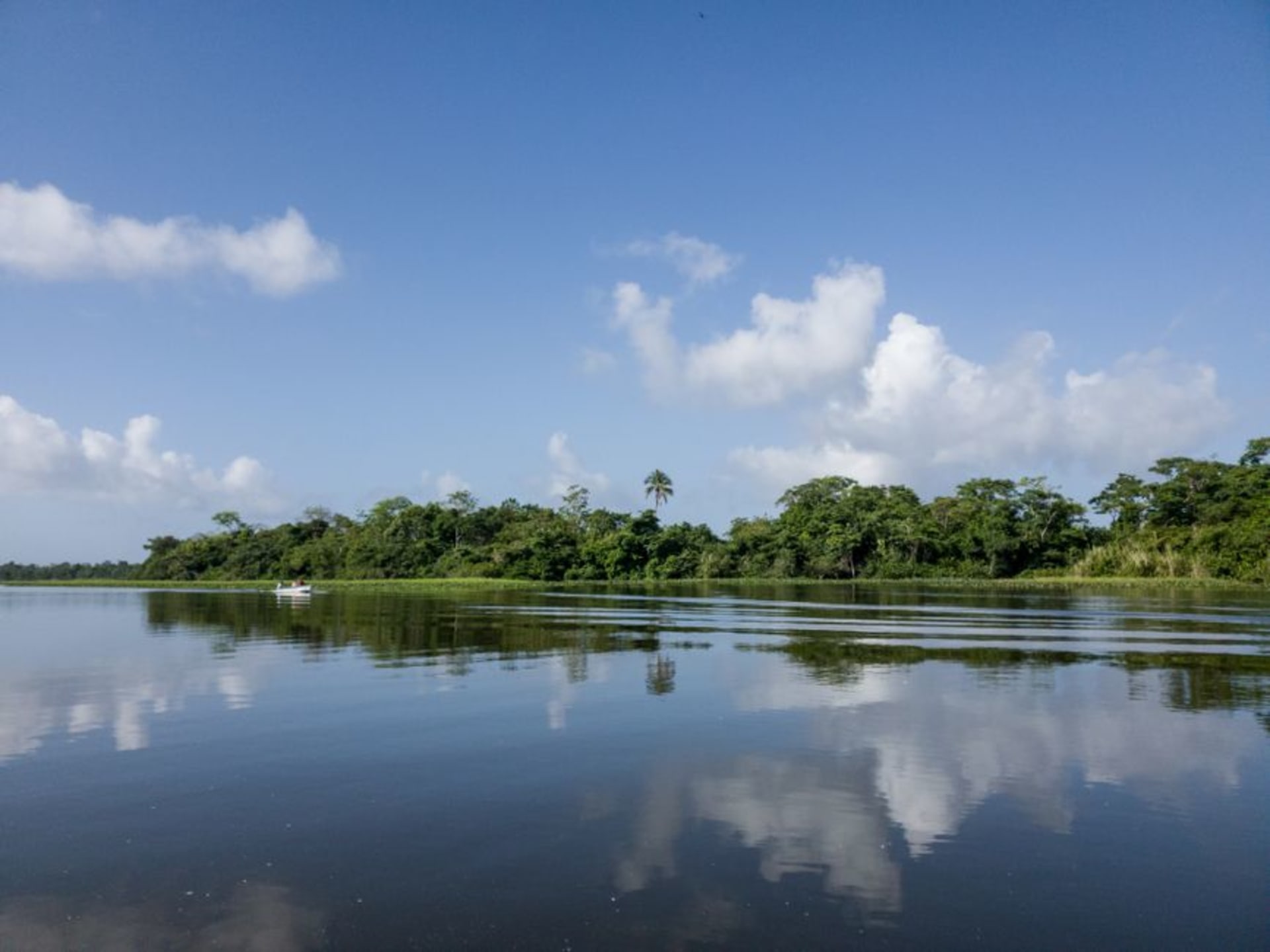 A wooden boat navigating the jungle-lined Río San Juan under overcast sky