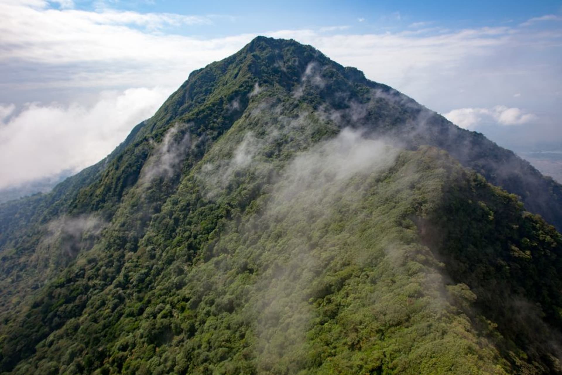 La cima del volcán Mombacho, cubierta de bosque nuboso, elevándose sobre plantaciones de café cerca de Granada, con jirones de niebla aferrados a la línea de árboles