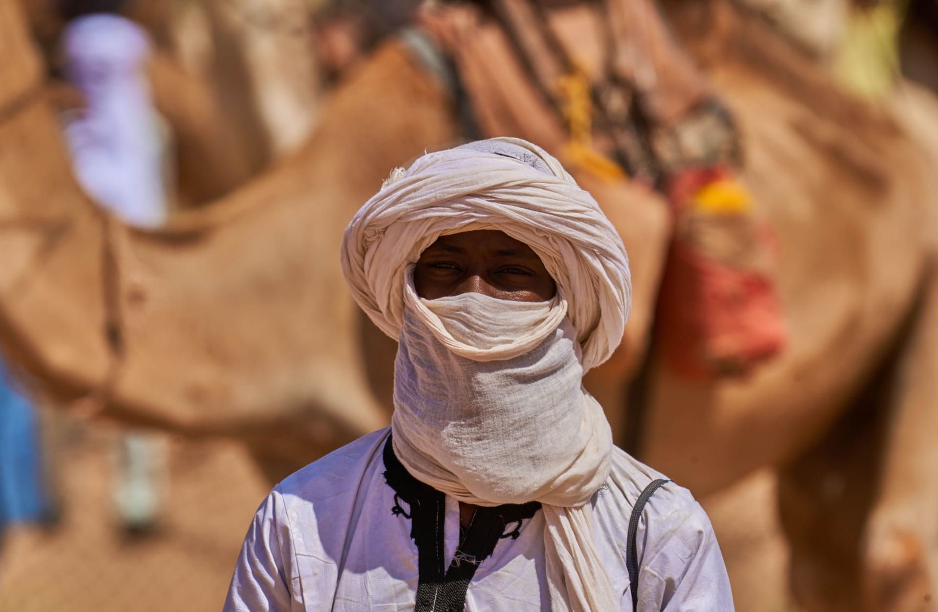 An endless sea of golden sand dunes stretching to the horizon under a deep blue sky in the Ténéré Desert, Niger