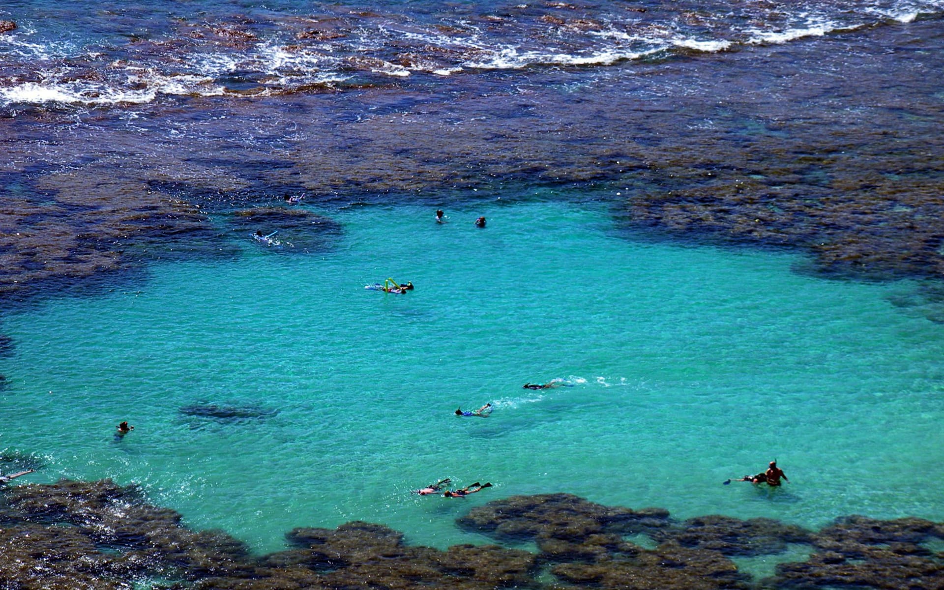 Aerial view of snorkelers in the glassy turquoise lagoon waters off Niue's coral-fringed coast
