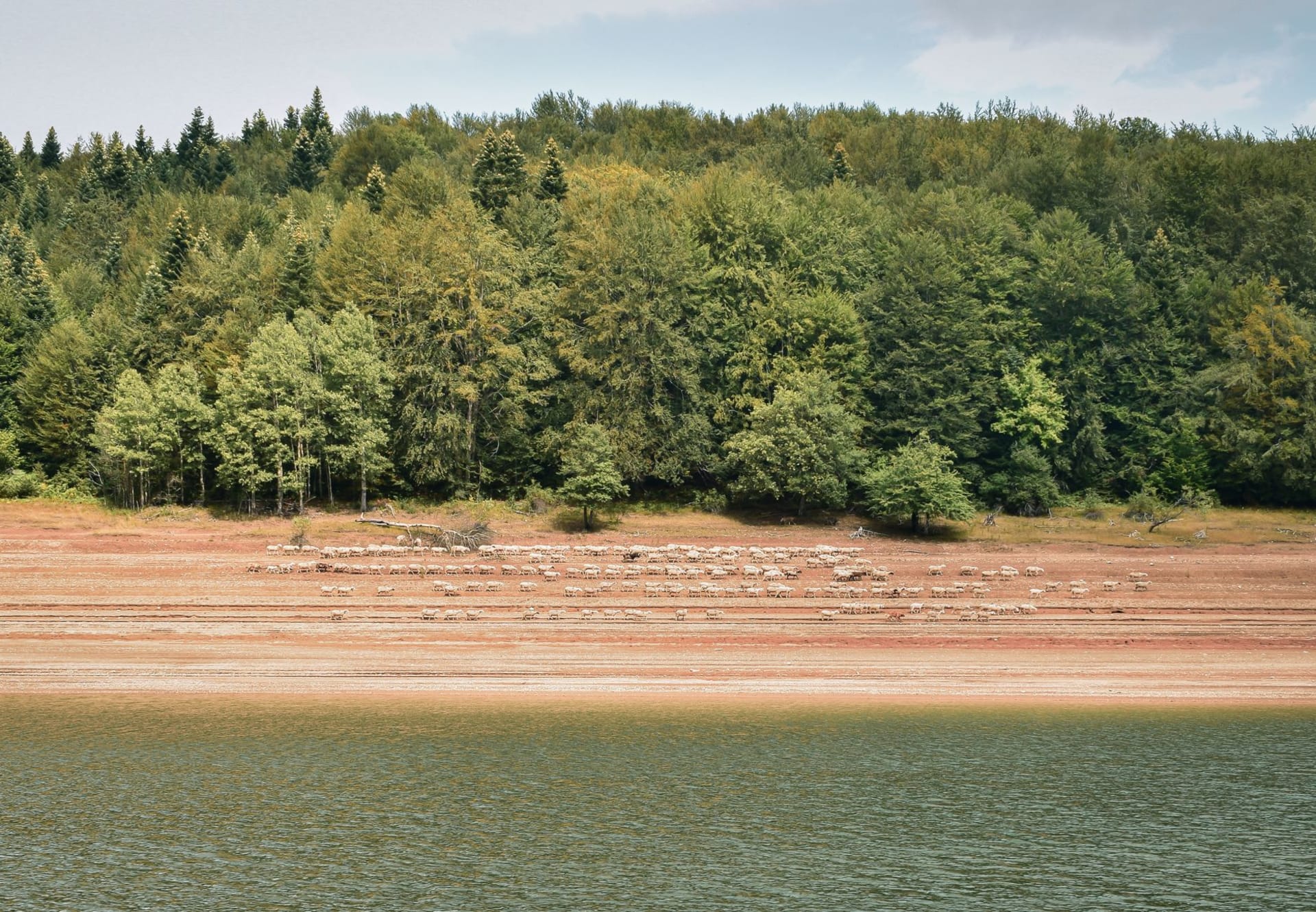 L'église Saint-Nicolas partiellement submergée émergeant de la surface tranquille du lac Mavrovo avec des sommets enneigés derrière