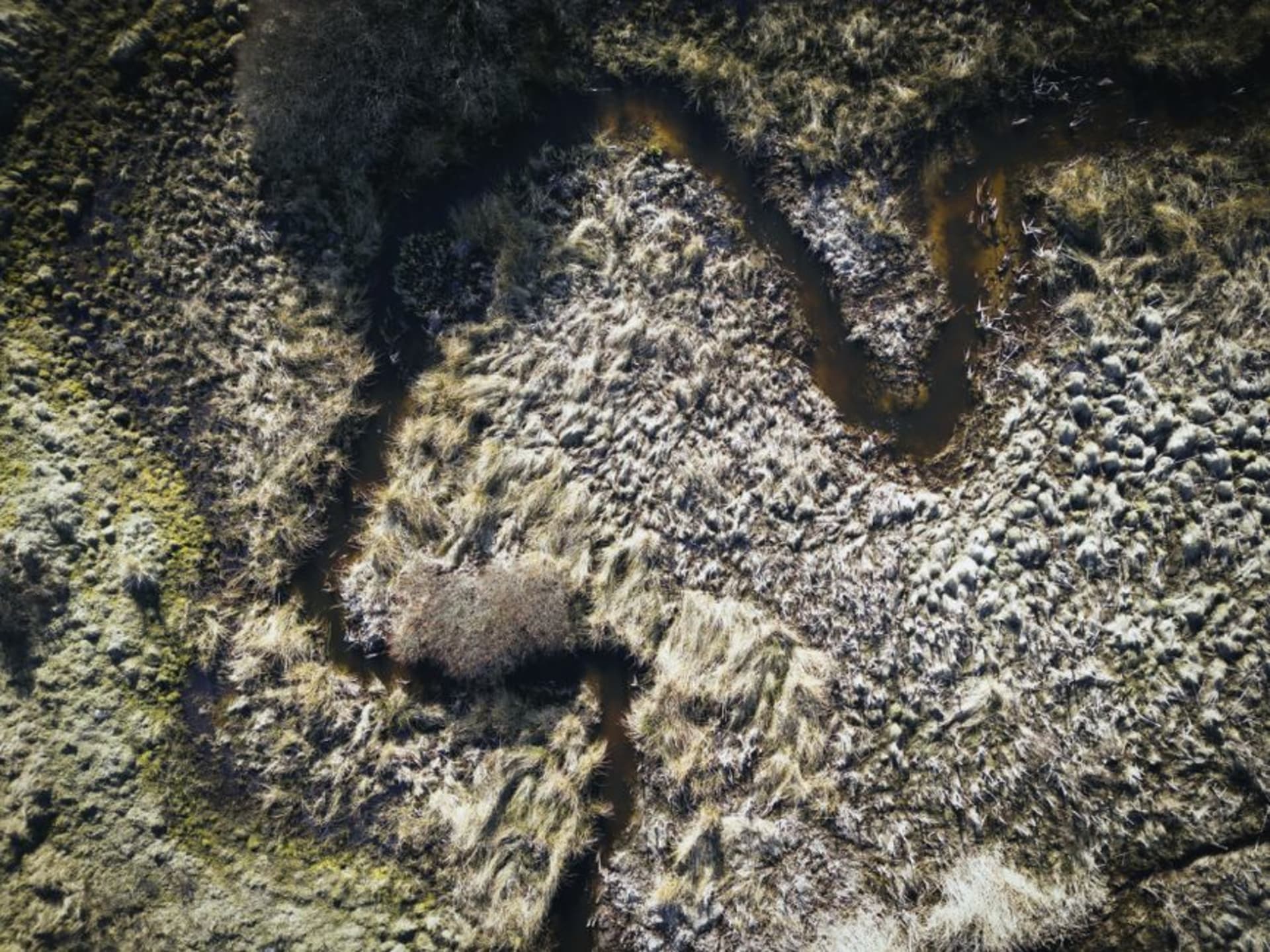 Golden floodplain at Vumbura Plains with scattered palm islands under a wide Okavango sky
