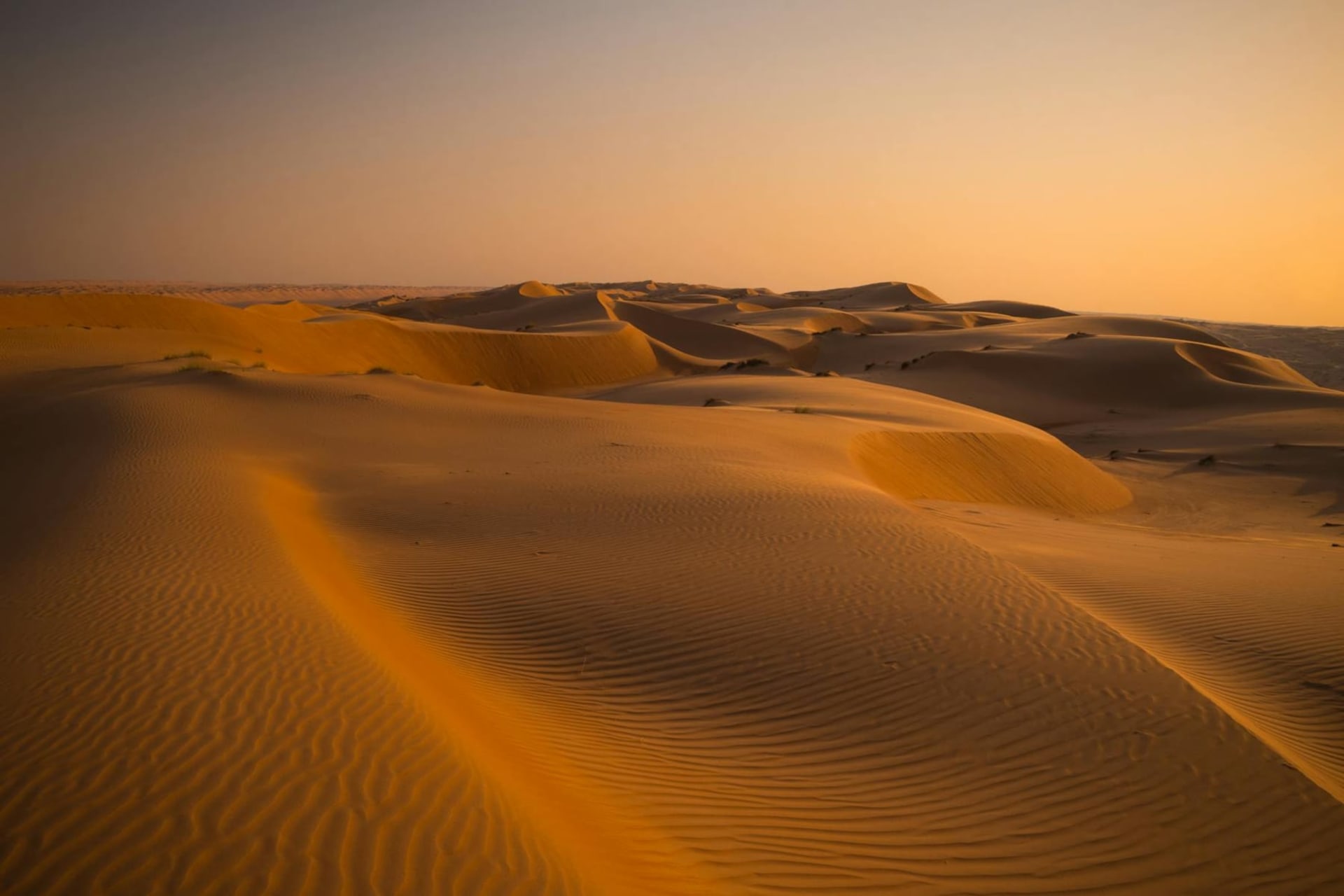 A vast expanse of deep orange sand dunes at dusk in Wahiba Sands, Oman, with a traditional Bedouin camp of low black tents glowing warmly against the darkening sky