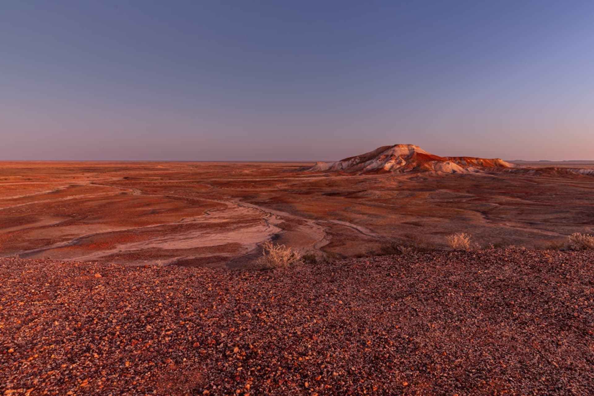 La superficie de grava rojiza de la Oodnadatta Track corriendo completamente recta a través de un territorio desértico plano y disperso hacia un horizonte lejano