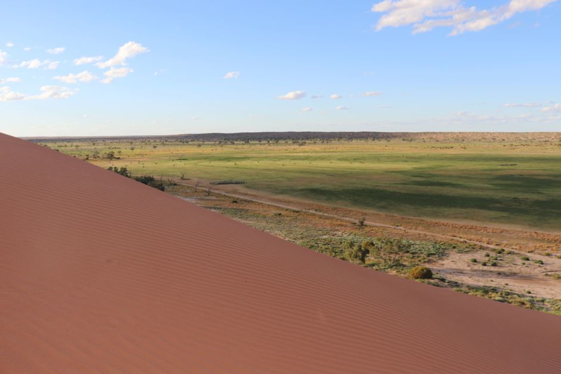A long line of parallel red sand dunes in the Simpson Desert stretching to the horizon under a pale sky