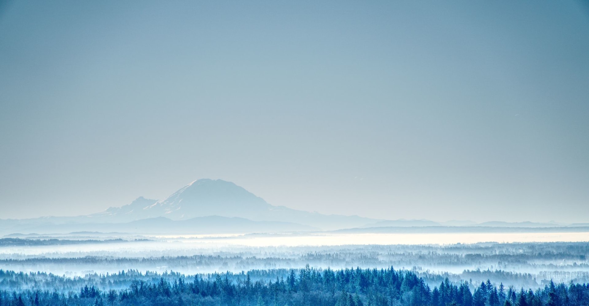 Misty winter view of Mount Rainier rising above a dense conifer forest, snow-capped summit wreathed in low cloud
