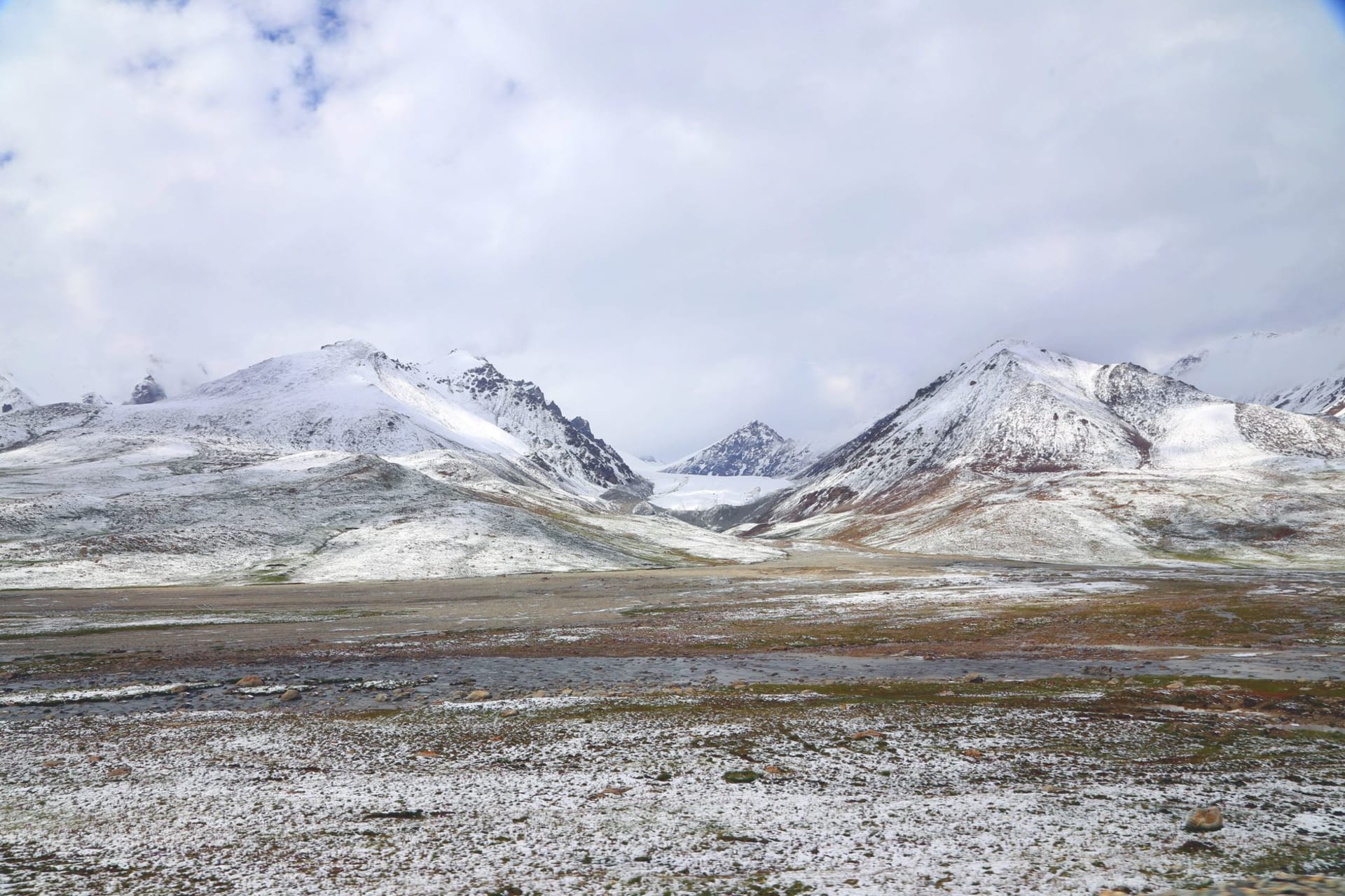 Vast flowering plateau of Deosai with distant snow peaks and a winding stream, Gilgit-Baltistan, Pakistan