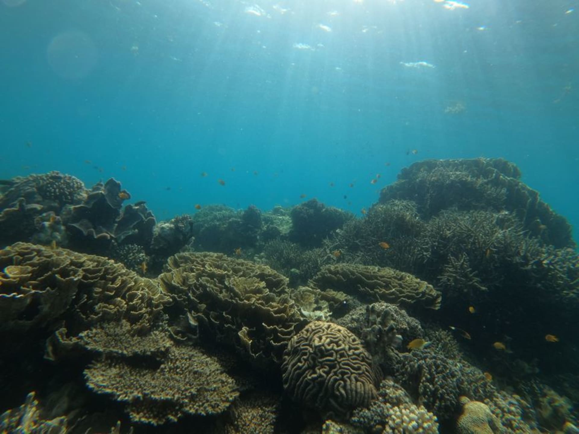Aerial view of the turquoise atoll and coral reef system of Tubbataha in the Sulu Sea