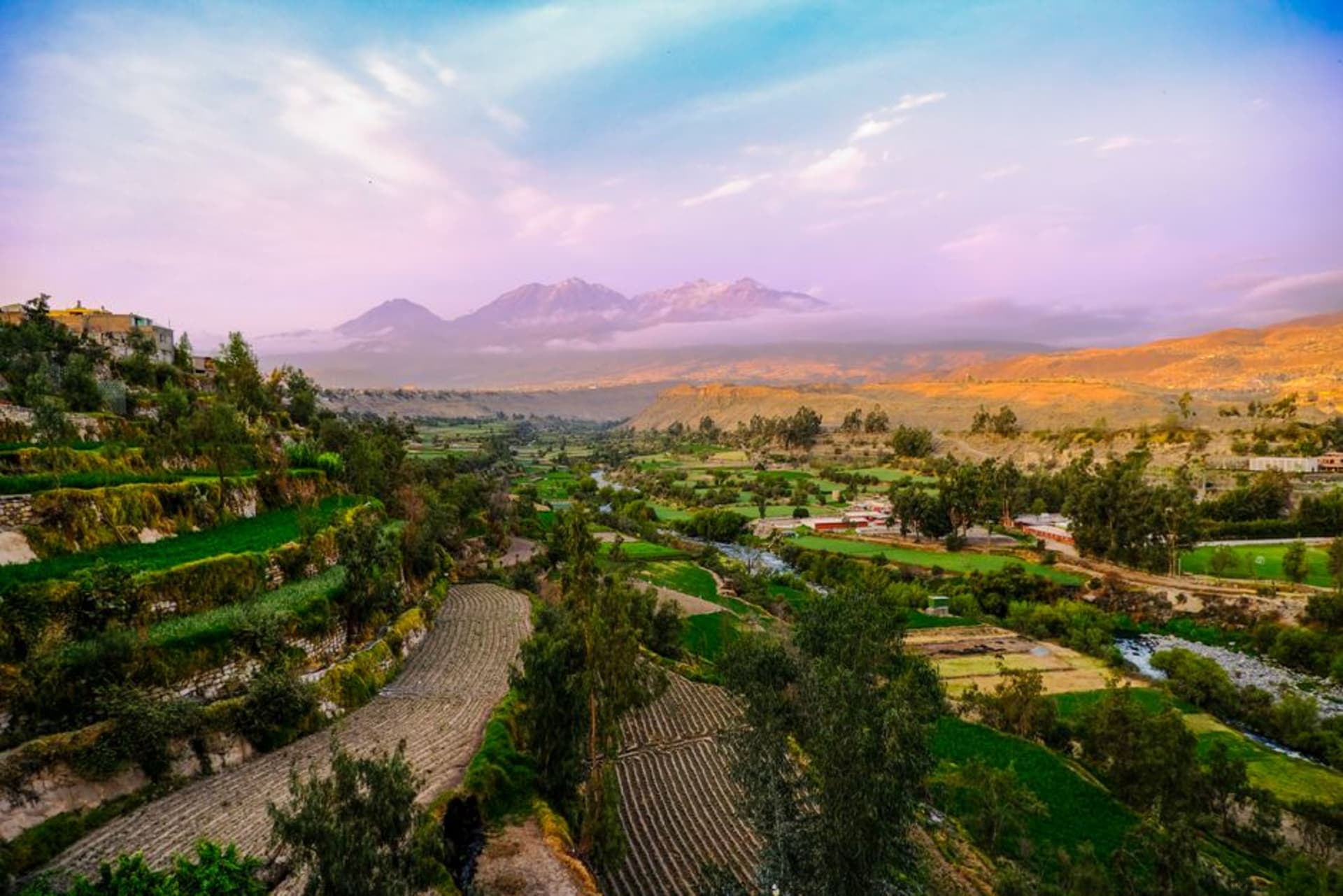 Green terraced vegetable gardens in the Artas valley below the village near Bethlehem