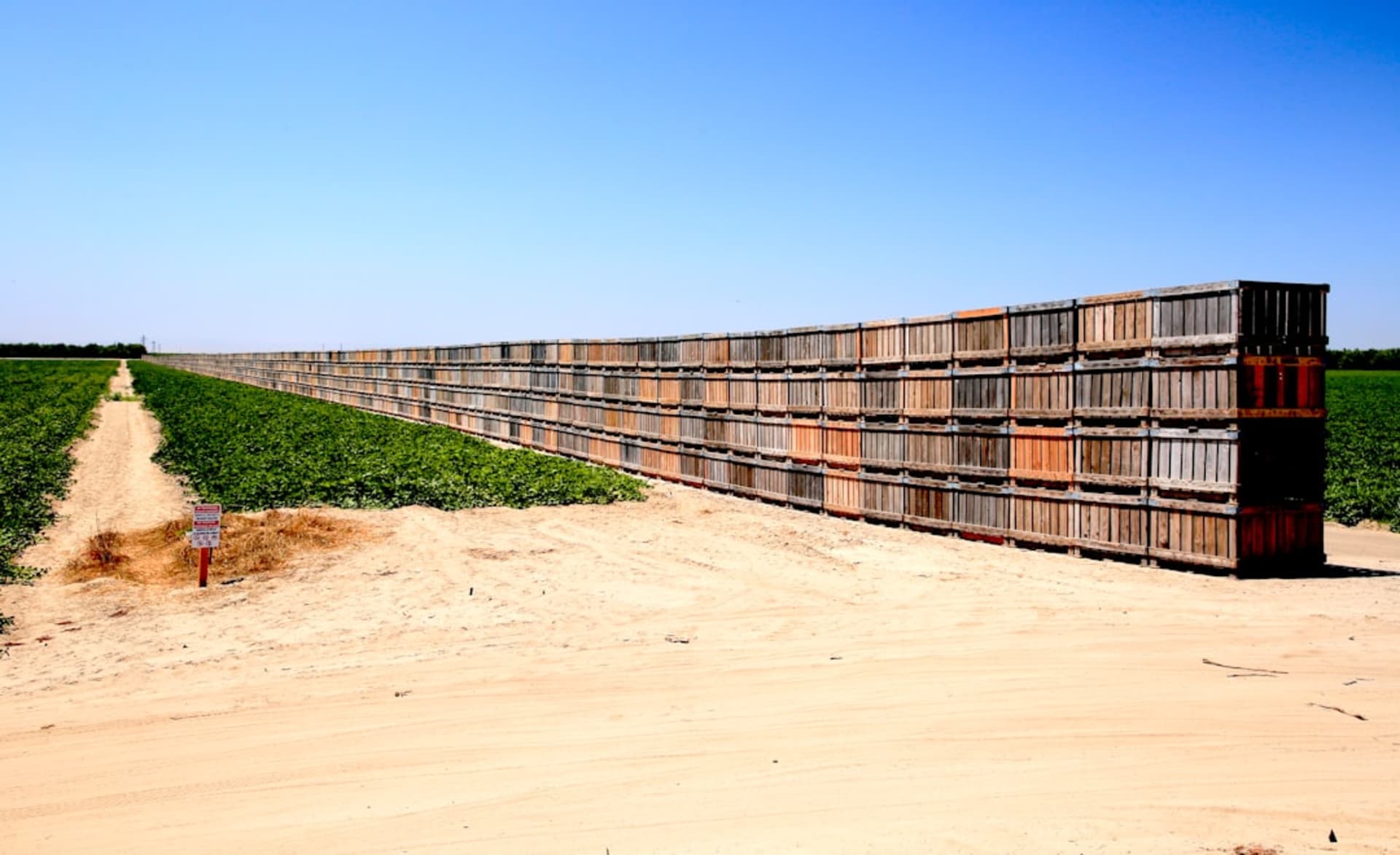 The concrete separation wall running along the edge of citrus groves outside Qalqilya