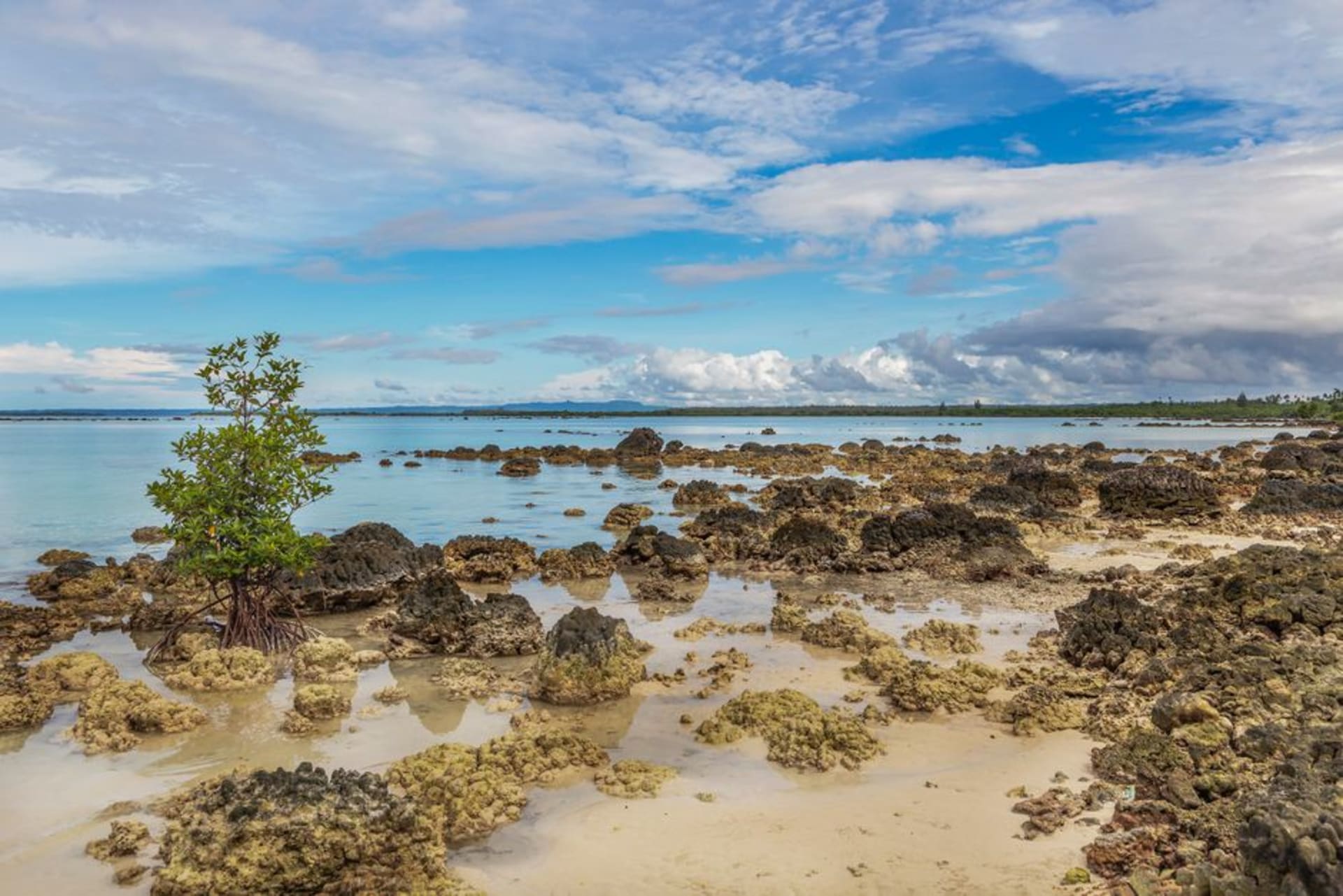 A quiet lagoon off Manus Island at midday, shallow turquoise water over white sand fringed by dense coastal forest