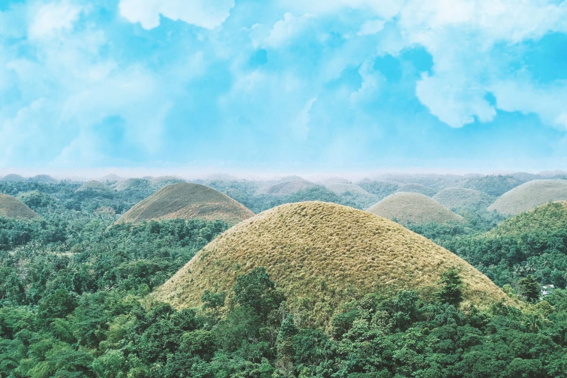 Hundreds of perfectly symmetrical conical grass mounds stretching to the horizon under a pale blue sky in Bohol, Philippines, their rounded peaks glowing brown in the dry season light