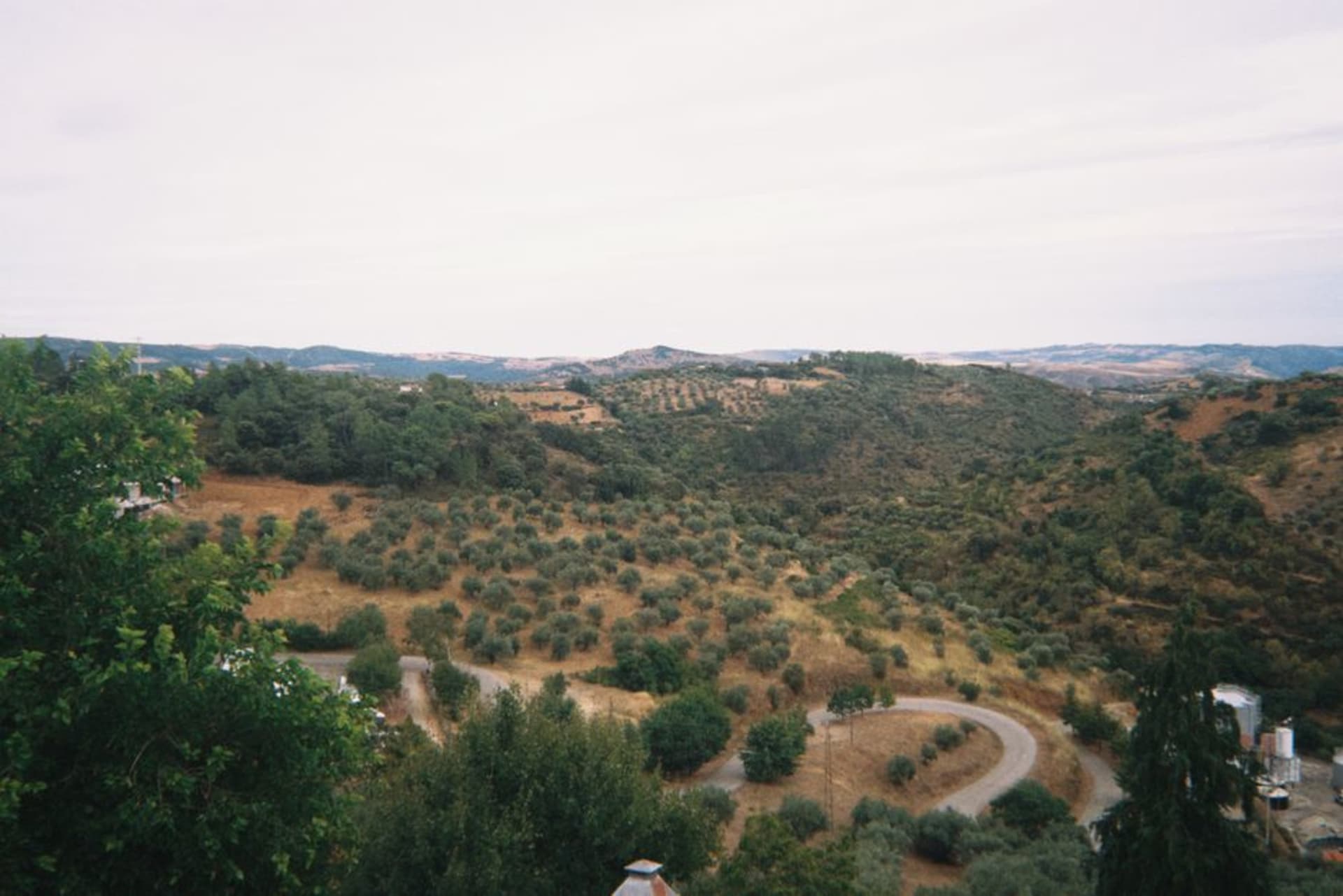 The stone walls and ruined manor of Castelo Rodrigo perched on a clifftop above rolling olive groves