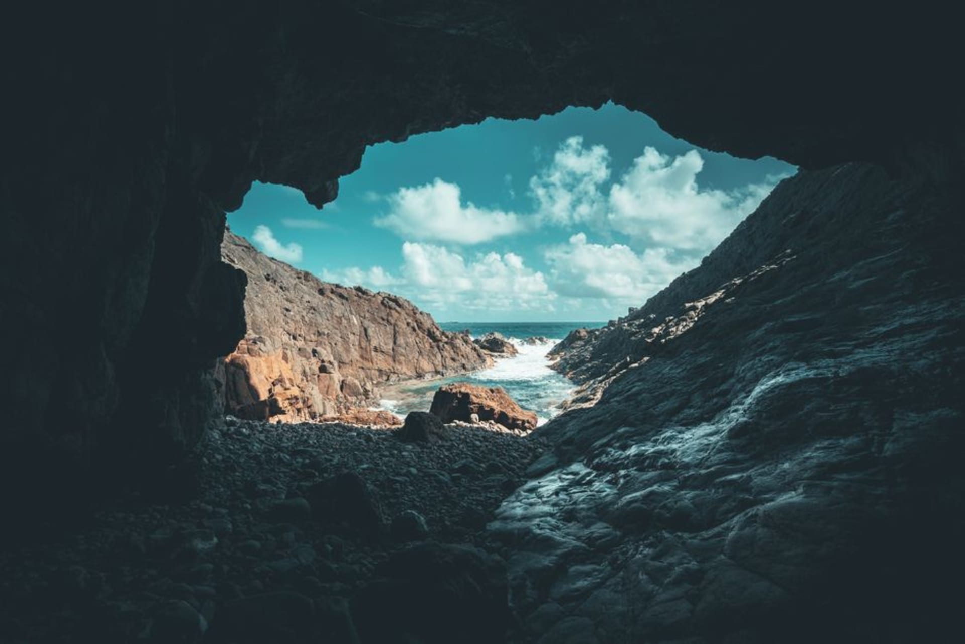 Sunlight pouring into the mouth of a massive limestone cave chamber at Rio Camuy Cave Park